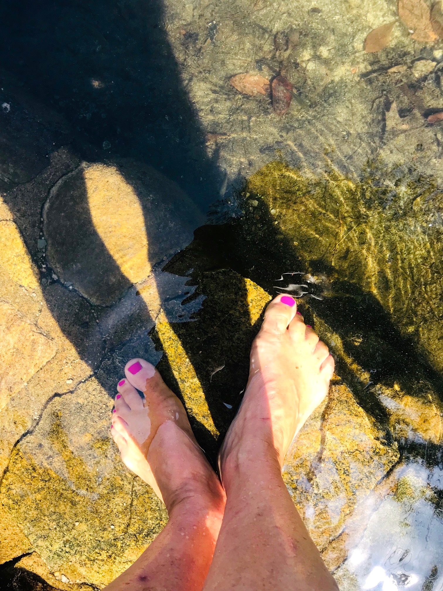 feet in swim.jpg