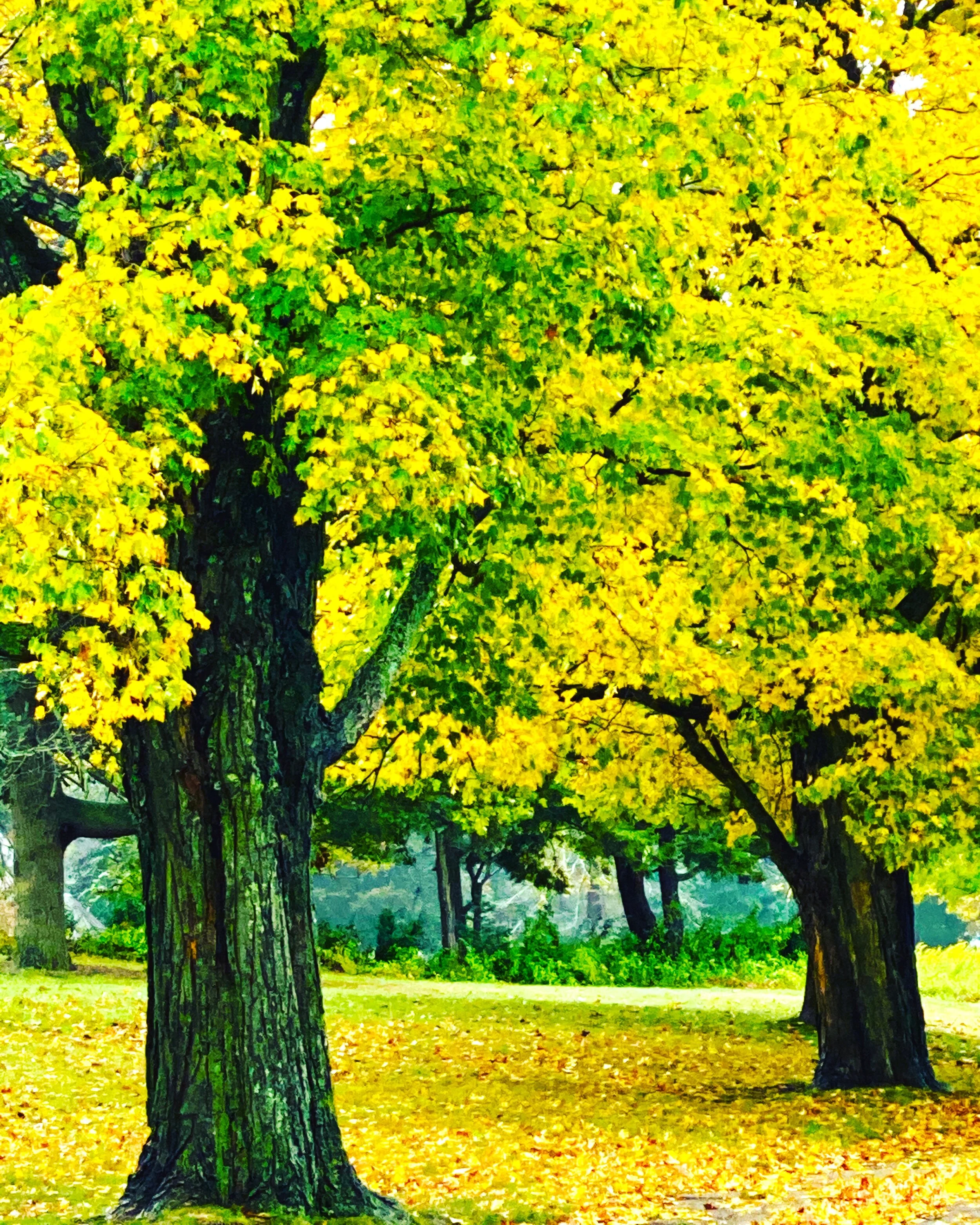 8381CC63-A880-4DE6-9FB2-B0BFF8D48BD7 2.JPG