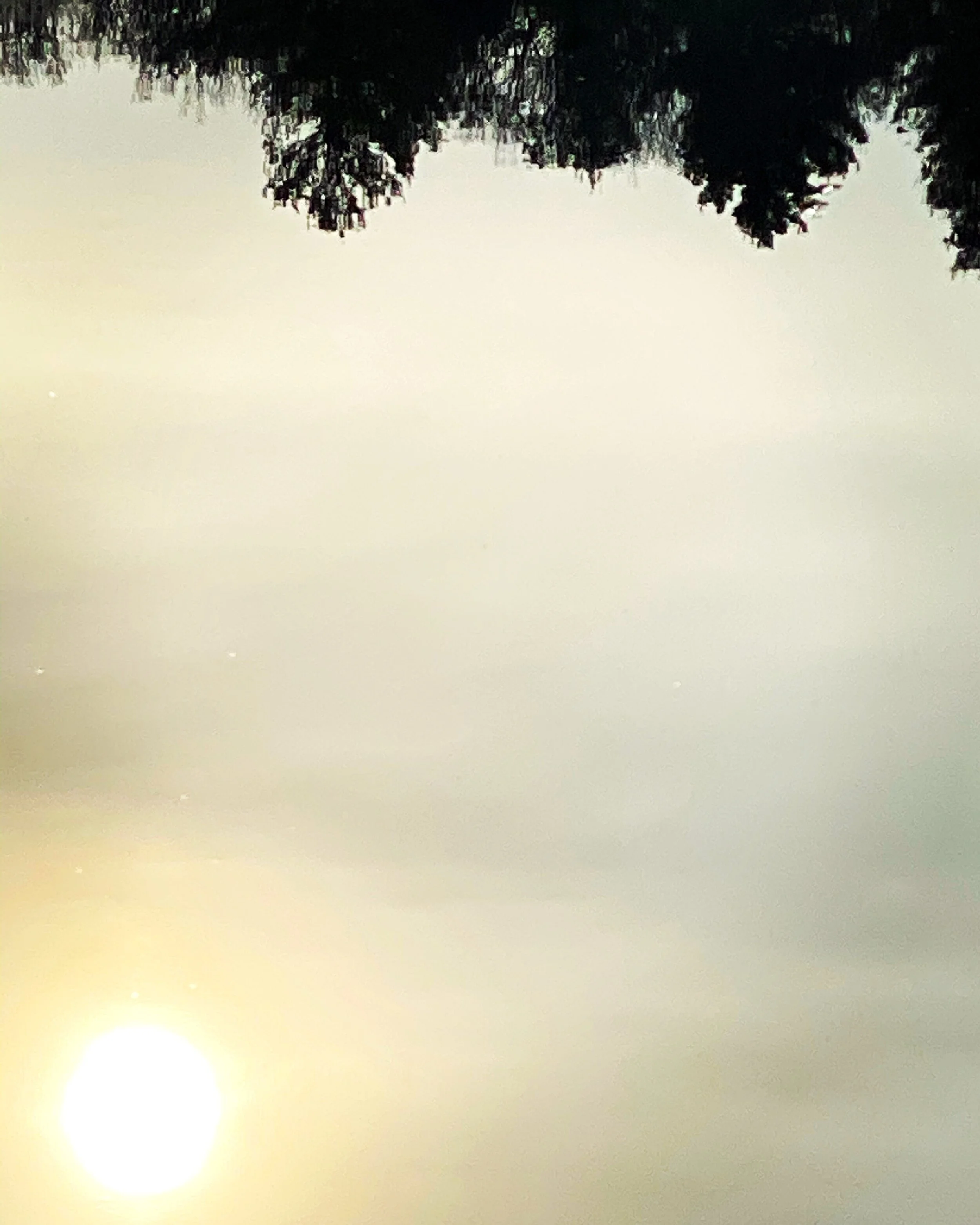 D0C81971-3F7B-4FD7-B5D5-DB28CFF6D14F.JPG