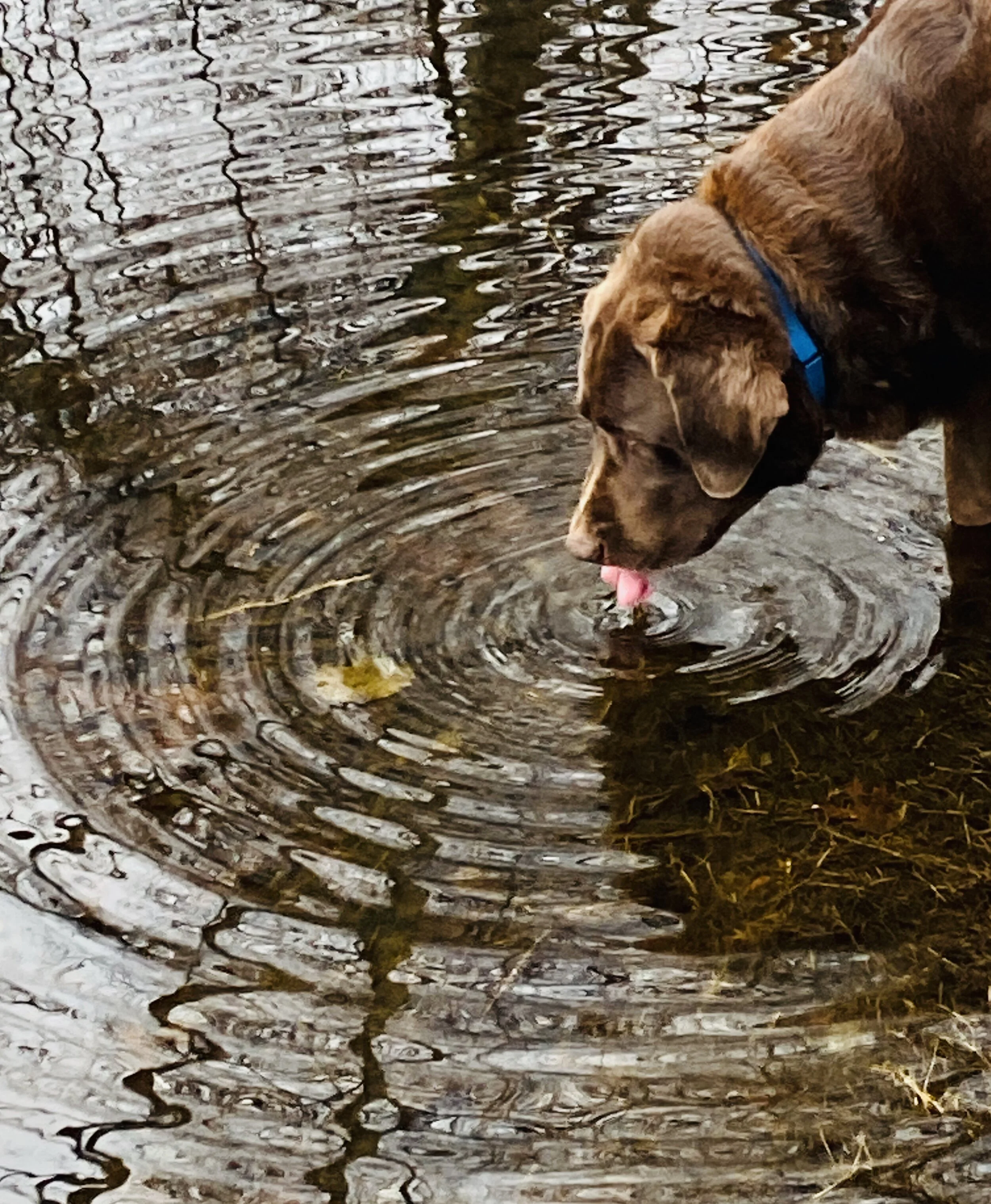 #NewThisDay Writing From My Photo Stream