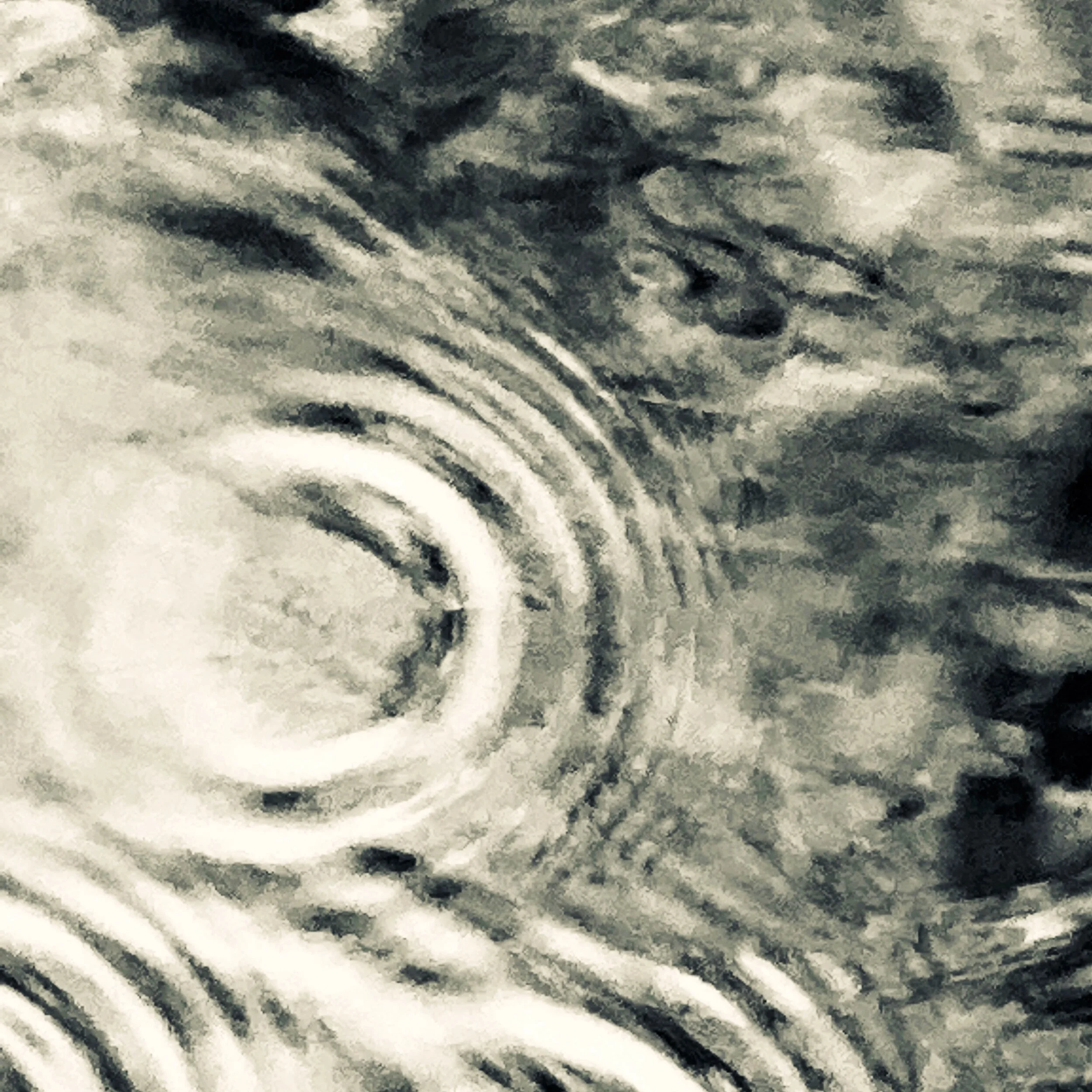 61C94441-F255-418B-8C92-8AC4143DE459.JPG