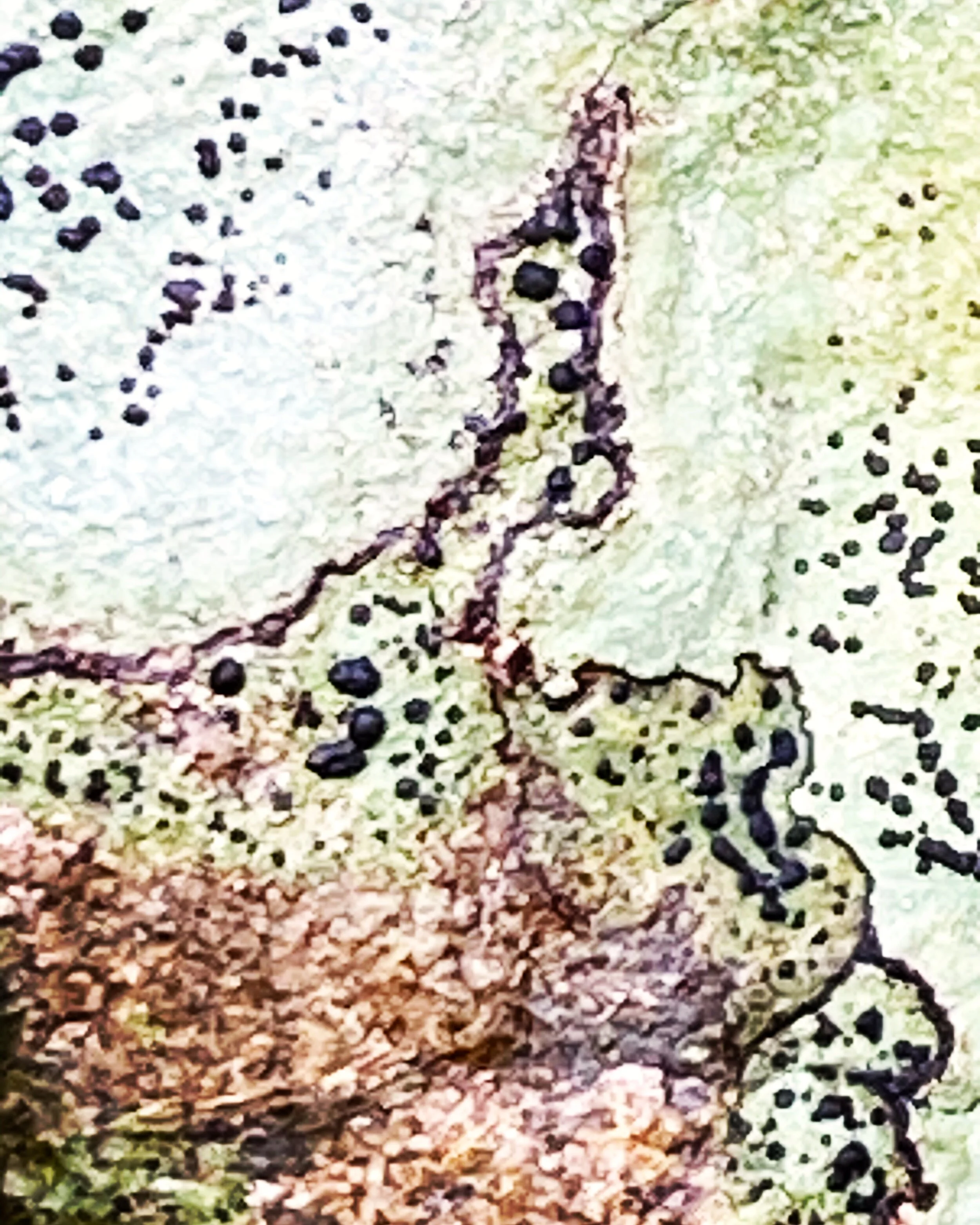 C2604A59-A3C1-4DBB-814B-EEDDA8FA14E0.JPG
