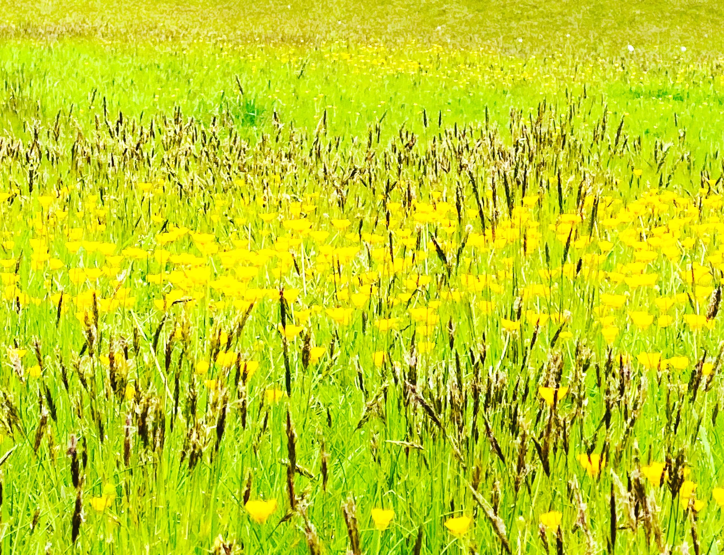 9DF7F5B8-473E-4D32-968E-55AB8BC5B39A.JPG