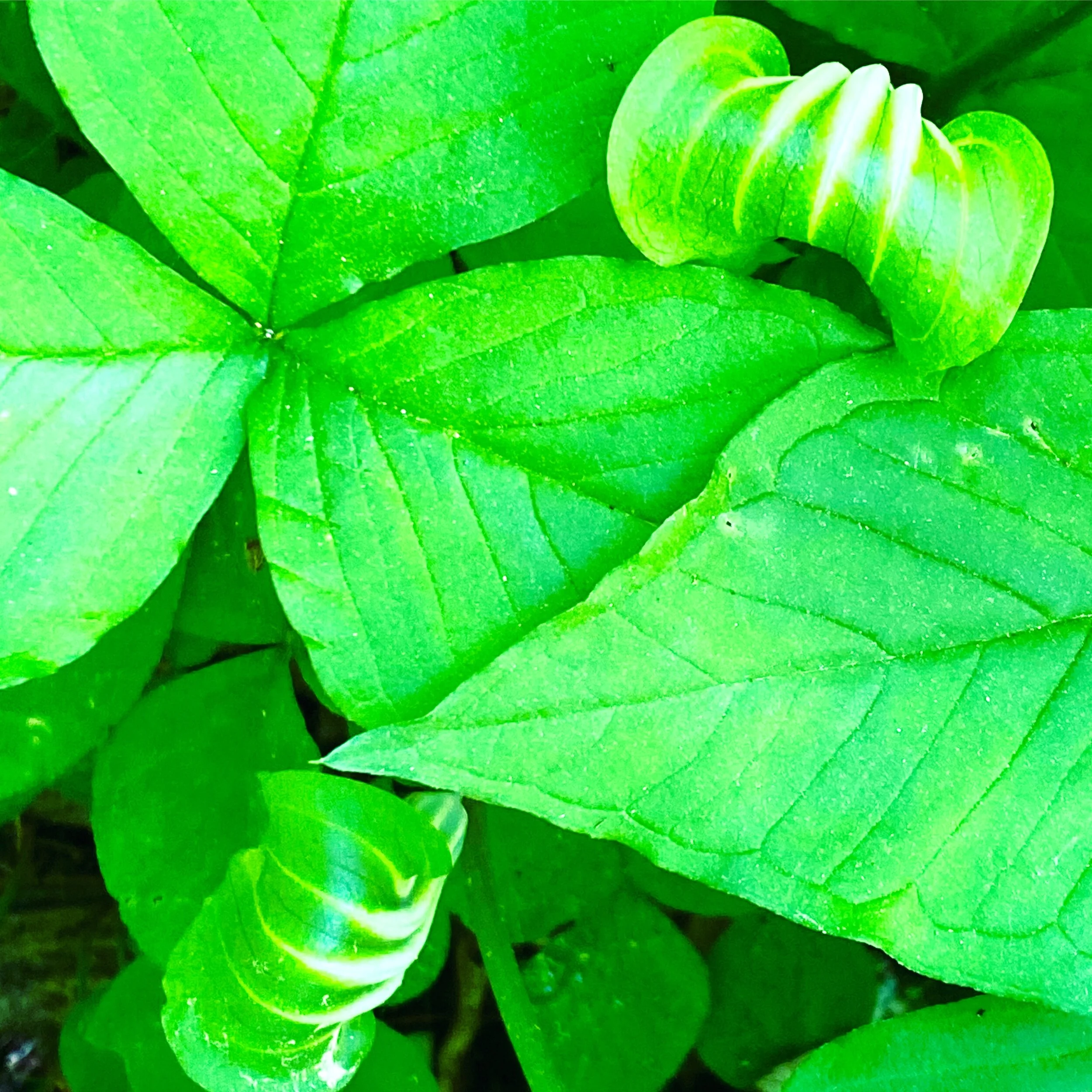 #NewThisDay Writing From My Photo Stream