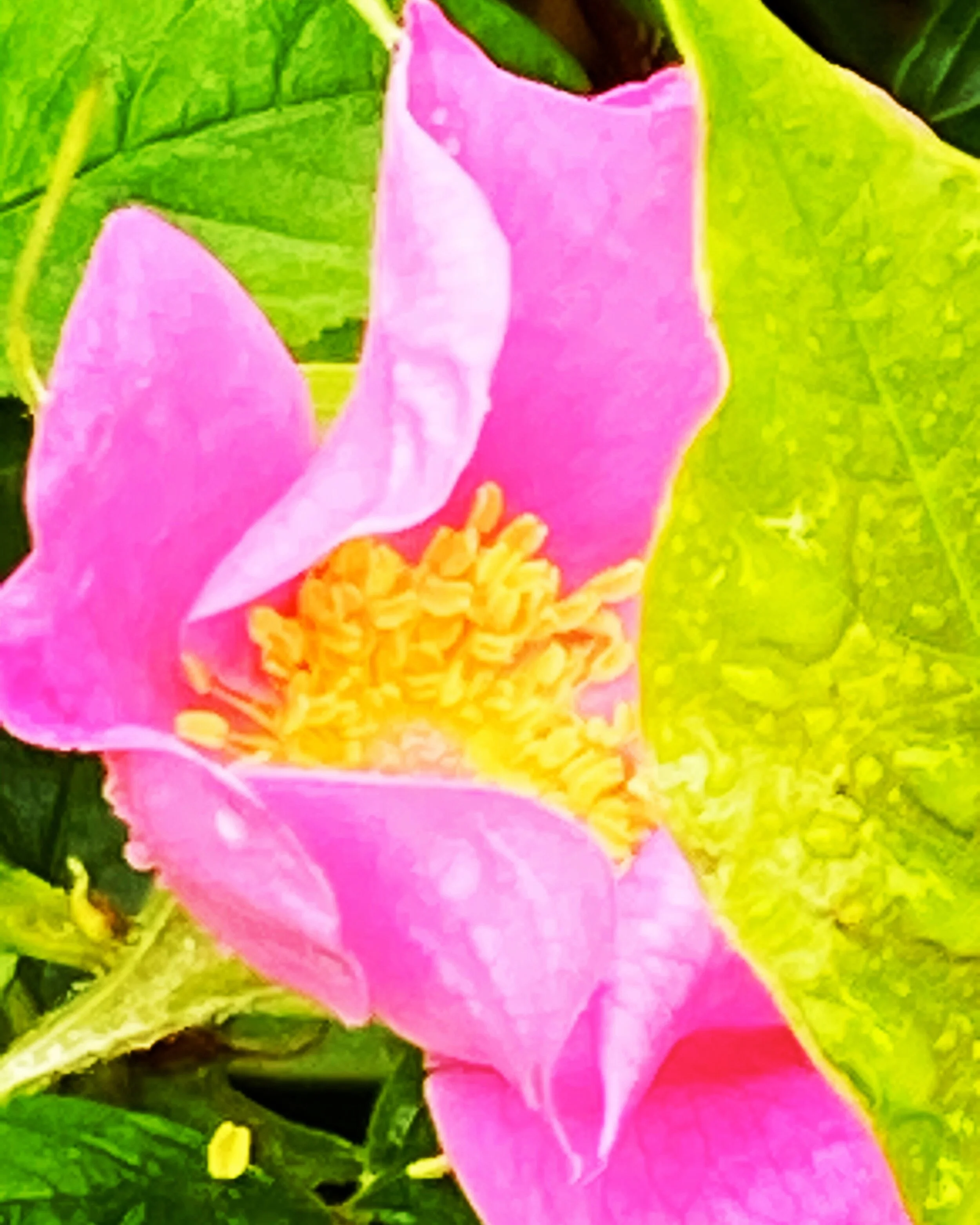 CA6B5560-8CC8-447F-9035-0F05CB8987DA.JPG