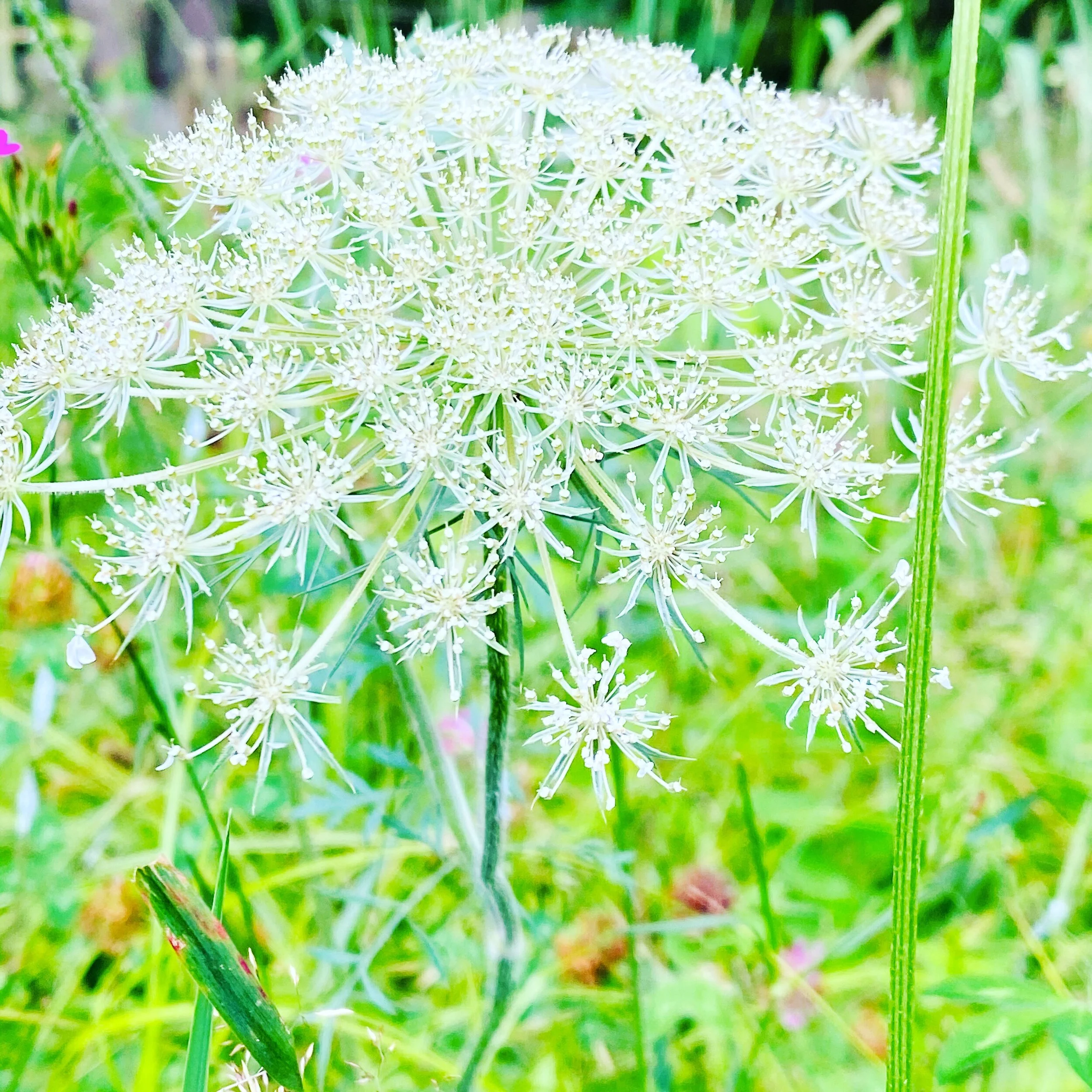 #NewThisDay Writing From My Photo Stream