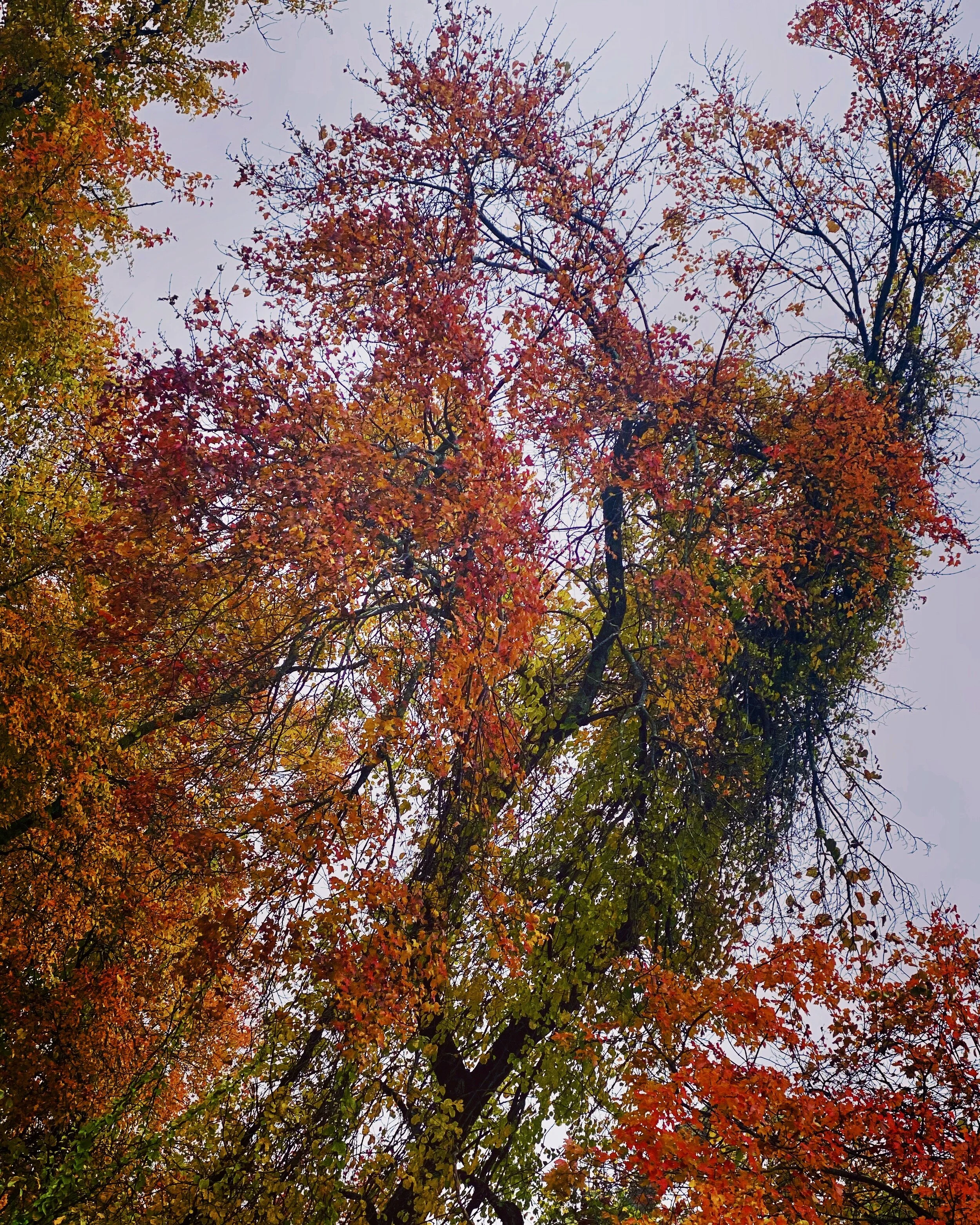 864C105A-BE53-47D9-A517-B661B07001C8.jpeg
