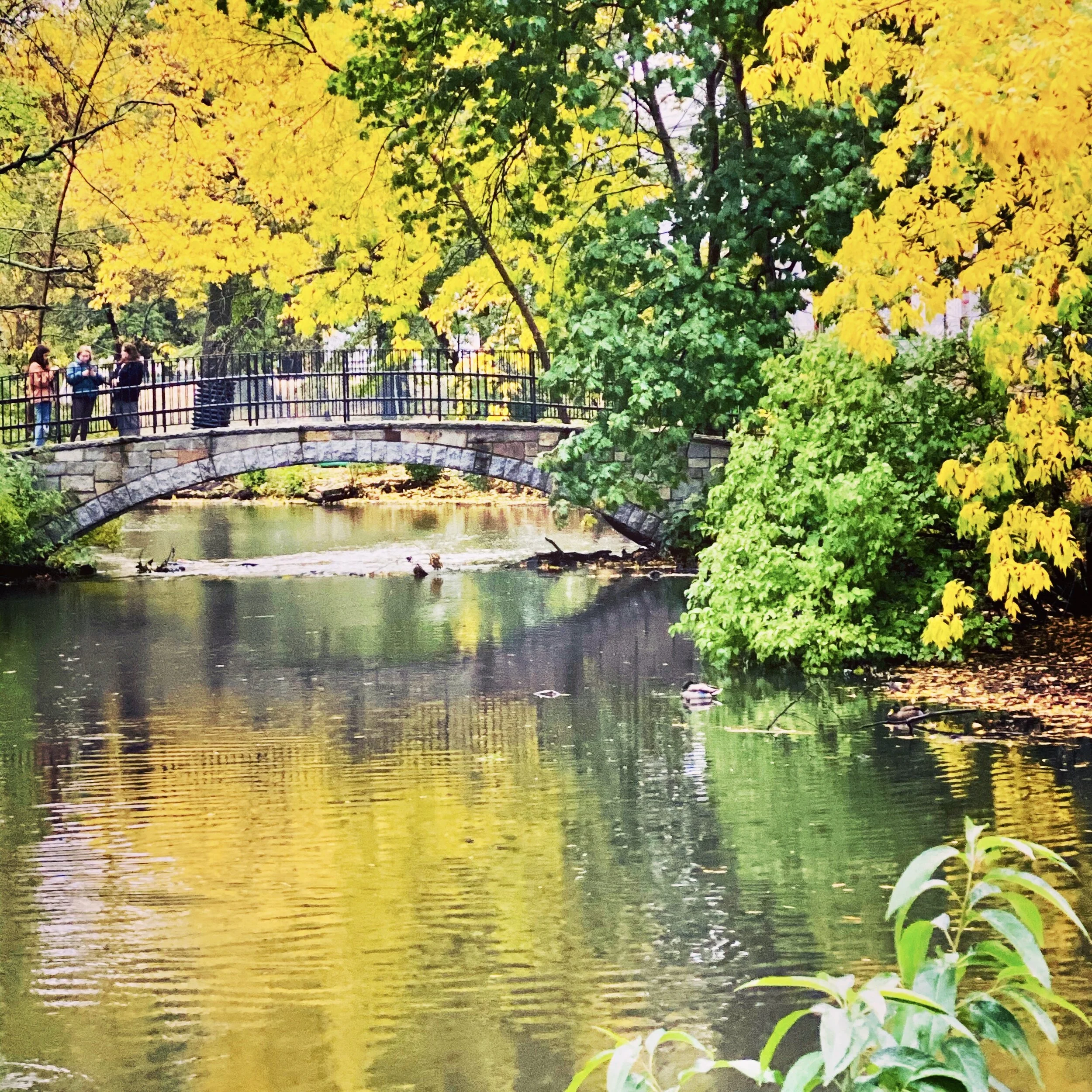 31F09551-45AB-411E-88FF-7B5B70642492.jpeg