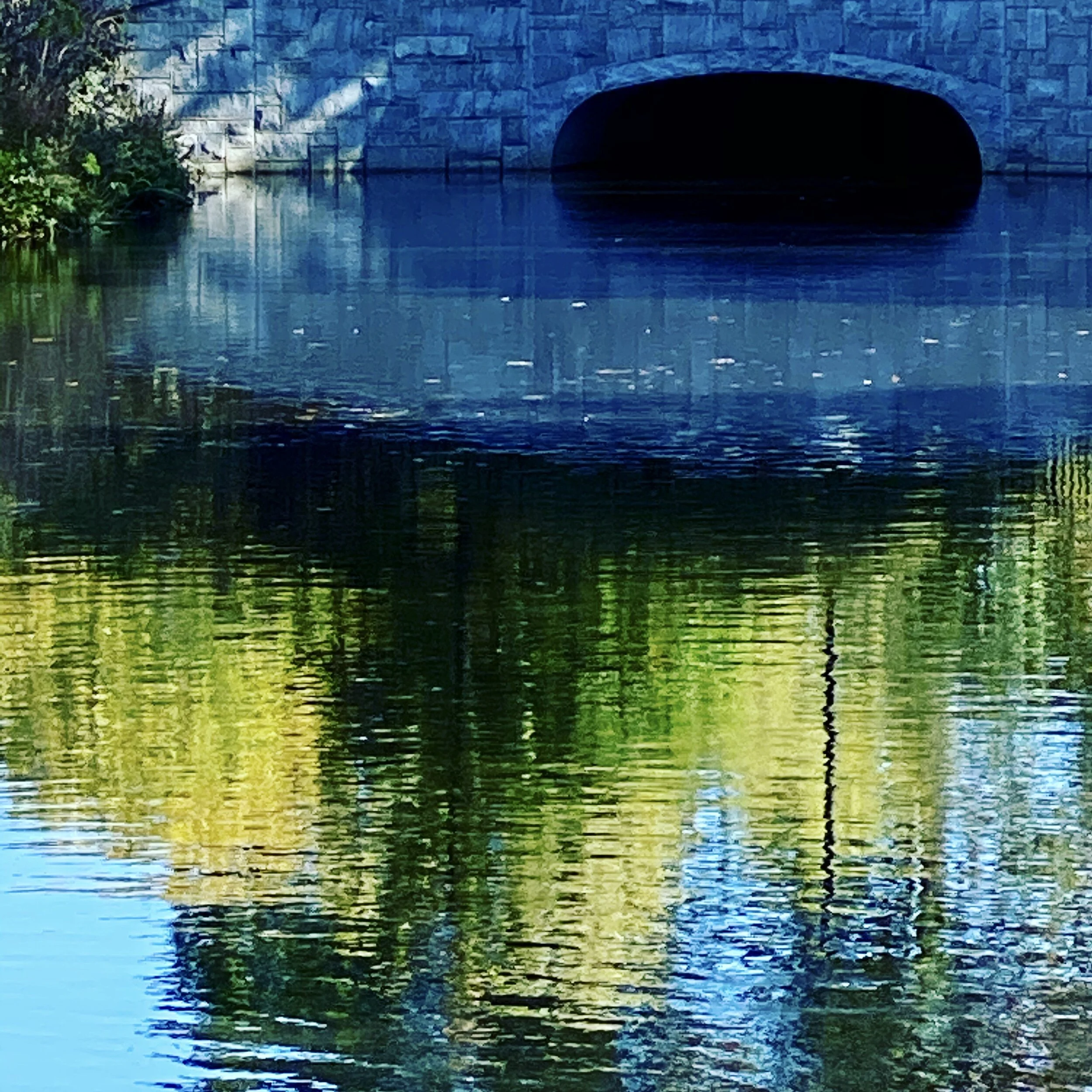4E7345E5-56DD-4E16-9815-957A733DA53E.jpeg