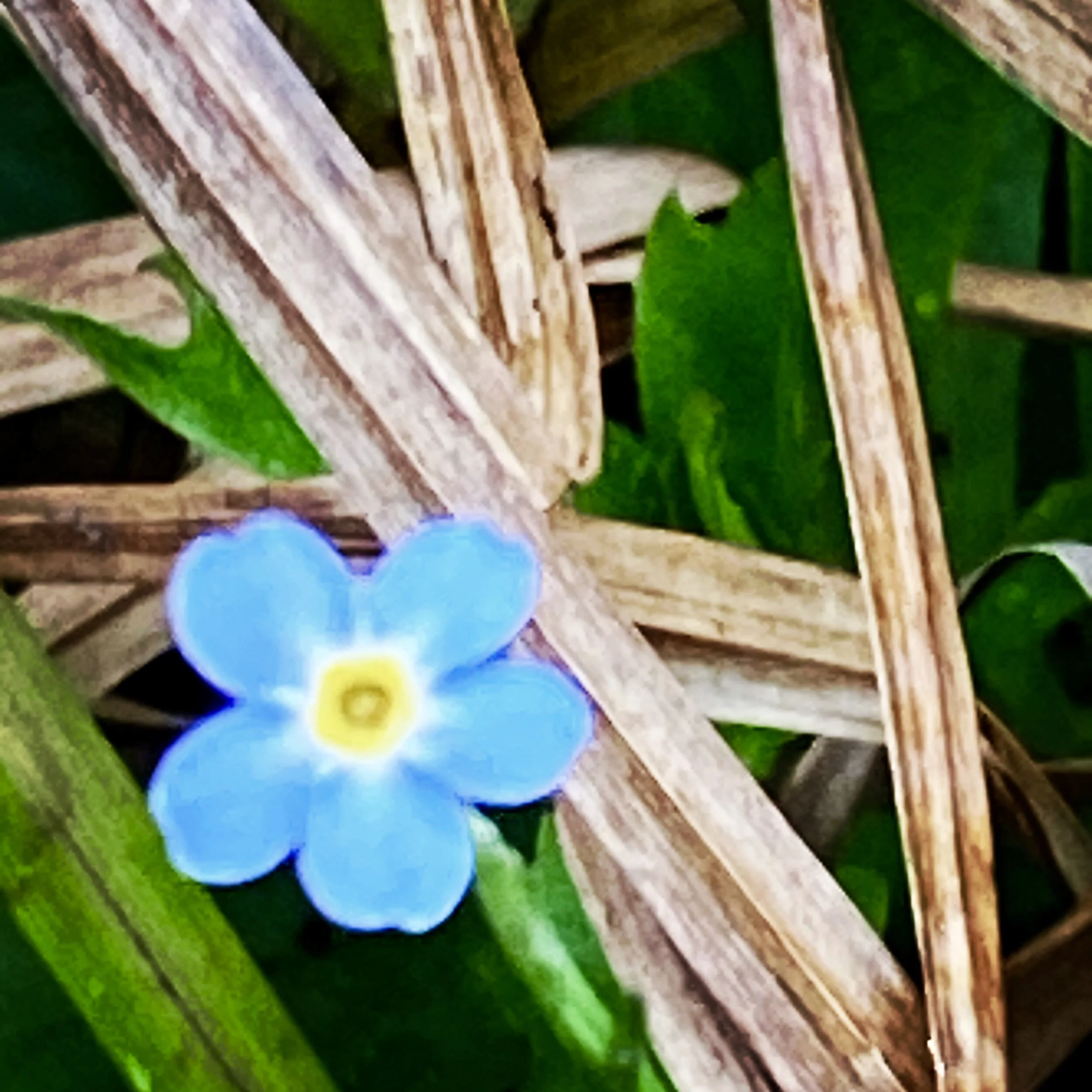6FDAD525-B1C2-4558-96C4-7EE0F461DF9E.jpeg