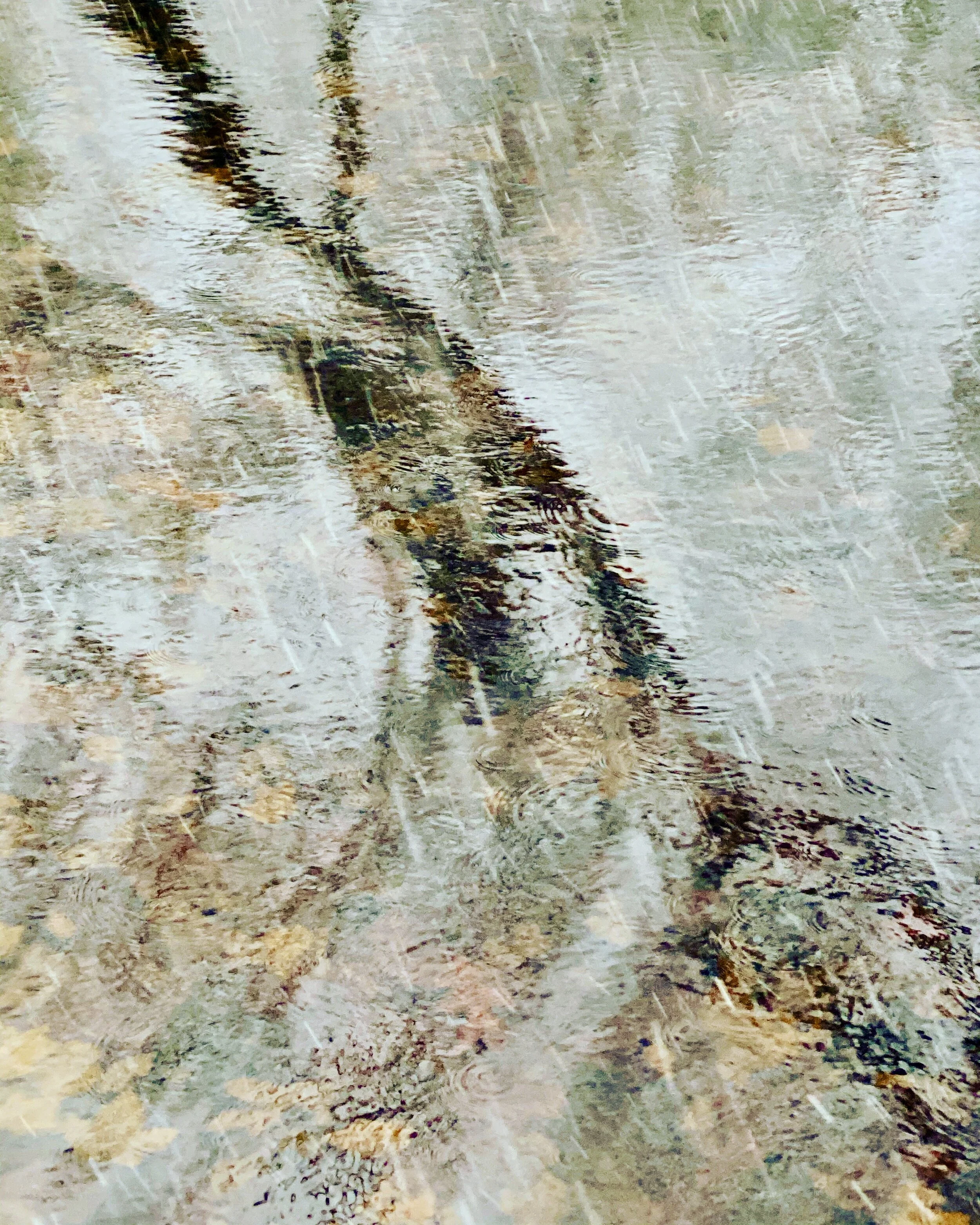 68A0DF60-F1E7-4B7D-B050-956C47405B86.jpeg