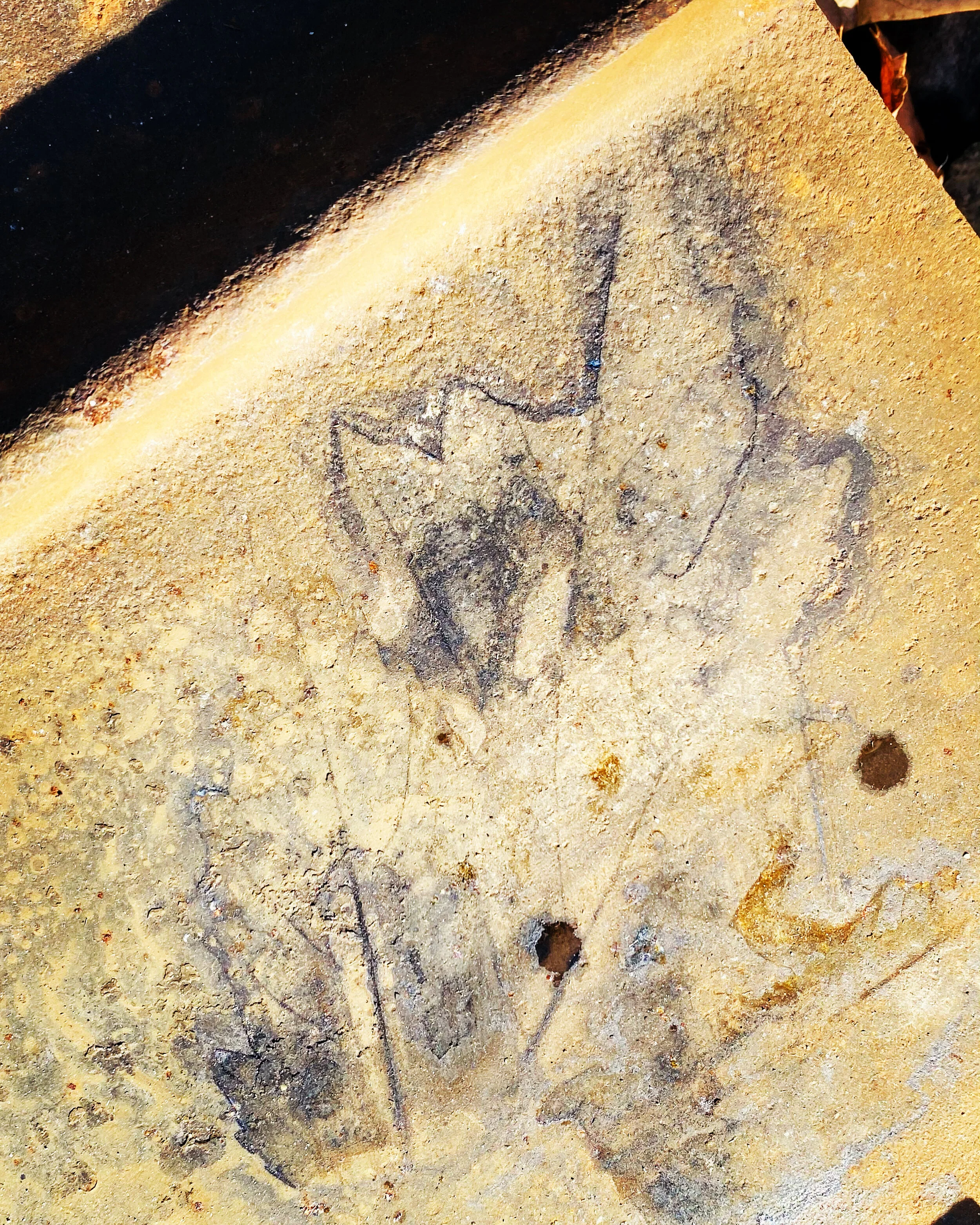 leaf impression.JPG