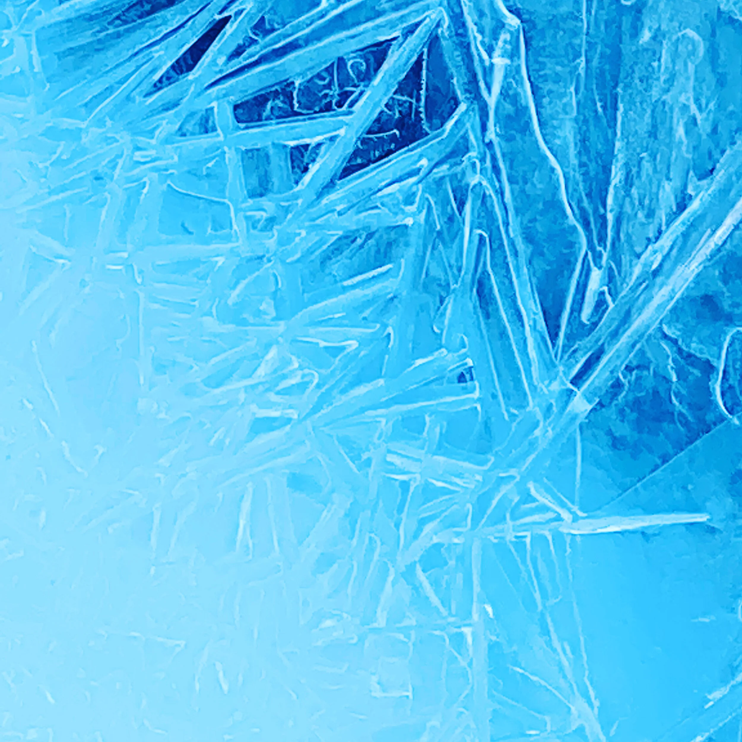 89A61FF7-7784-405A-8975-9FCA842E6FCD.jpeg