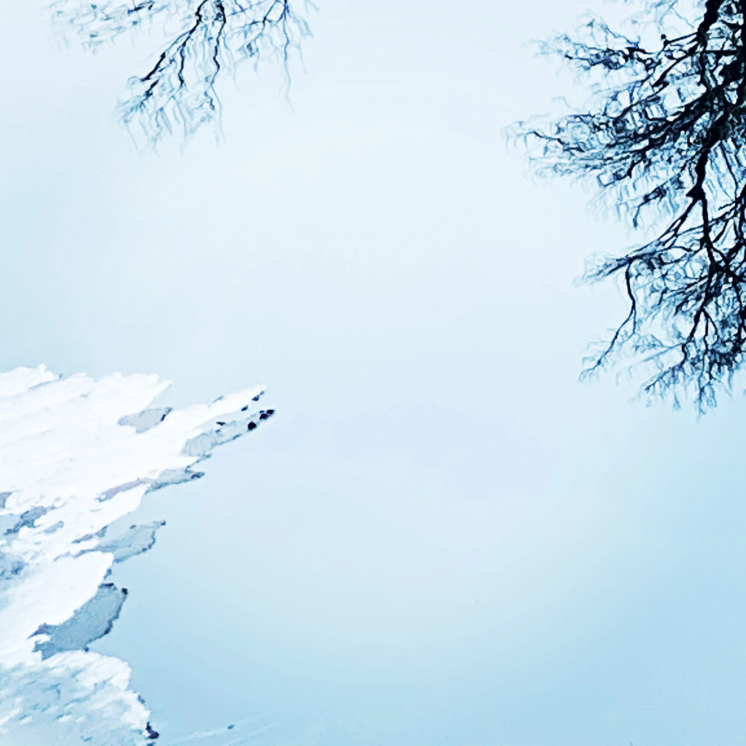 B8A0D55F-7CC9-4855-9F71-CD5028FAC144.jpeg