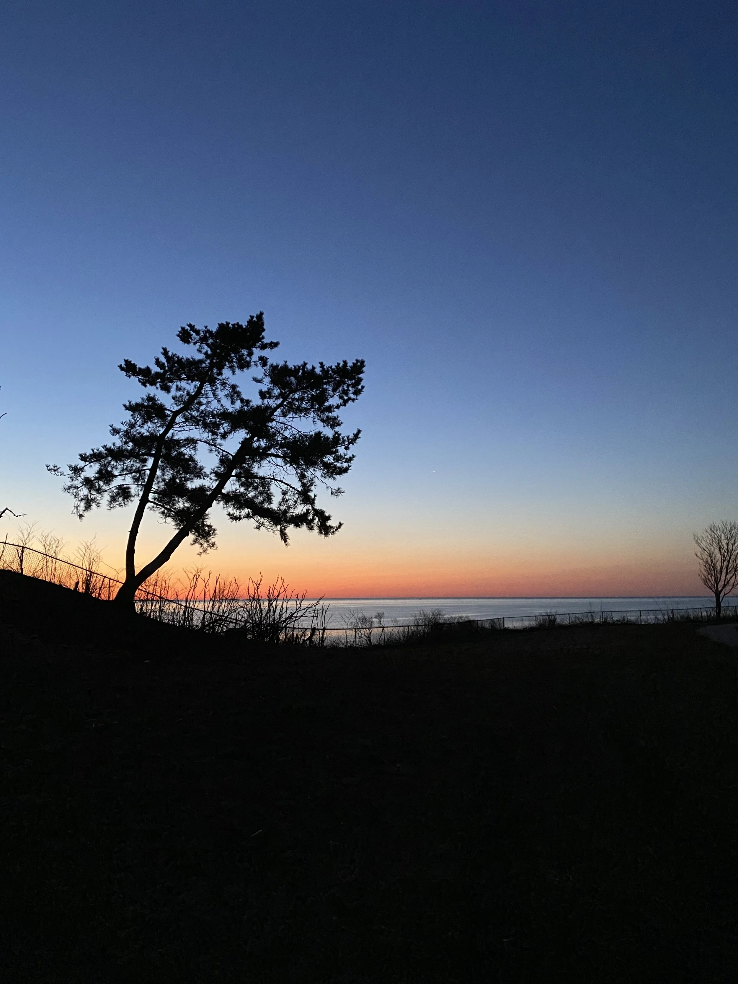 IMG_1140.jpeg