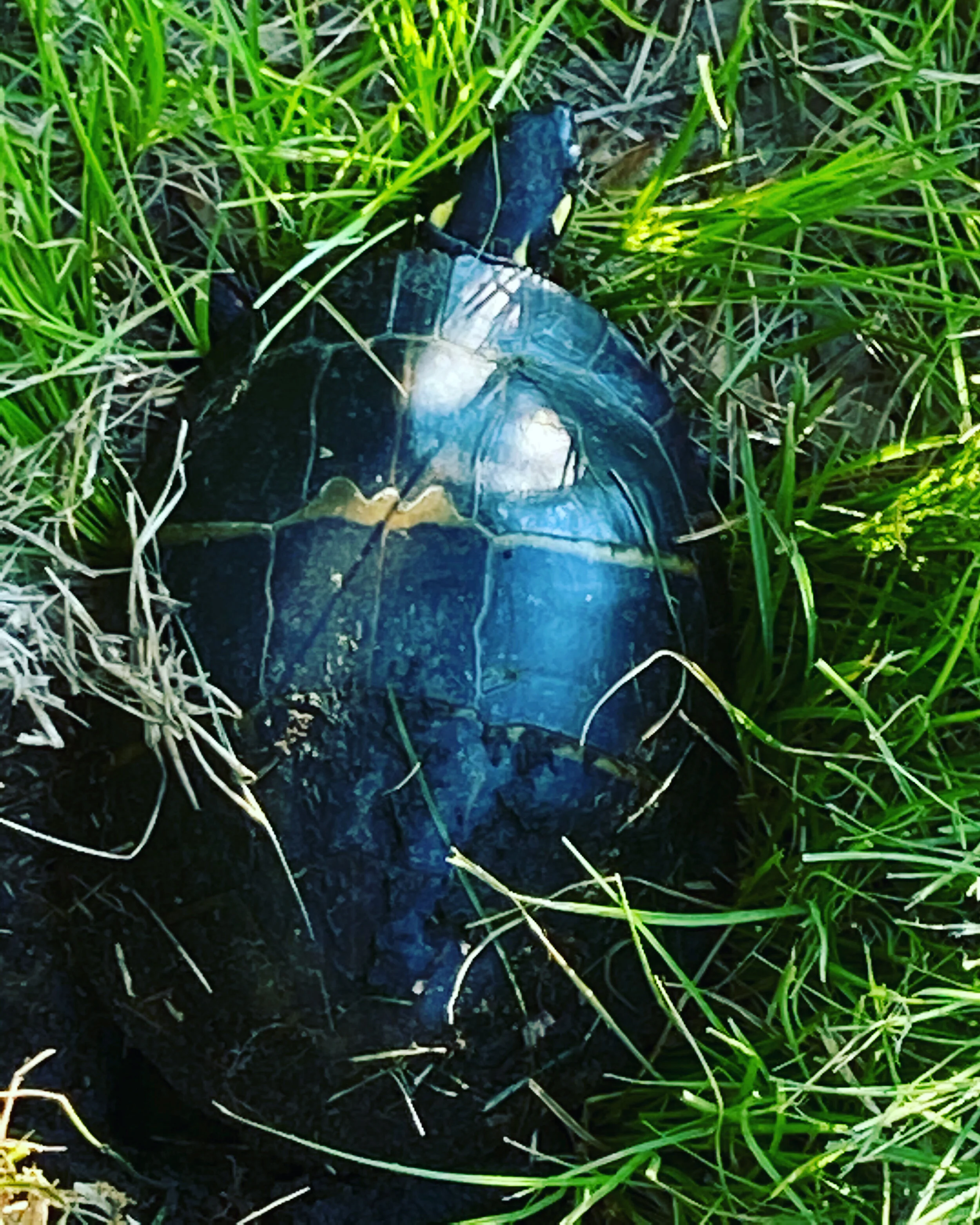 691308D0-B727-4B86-B4D2-C39B6547B3E2.jpeg