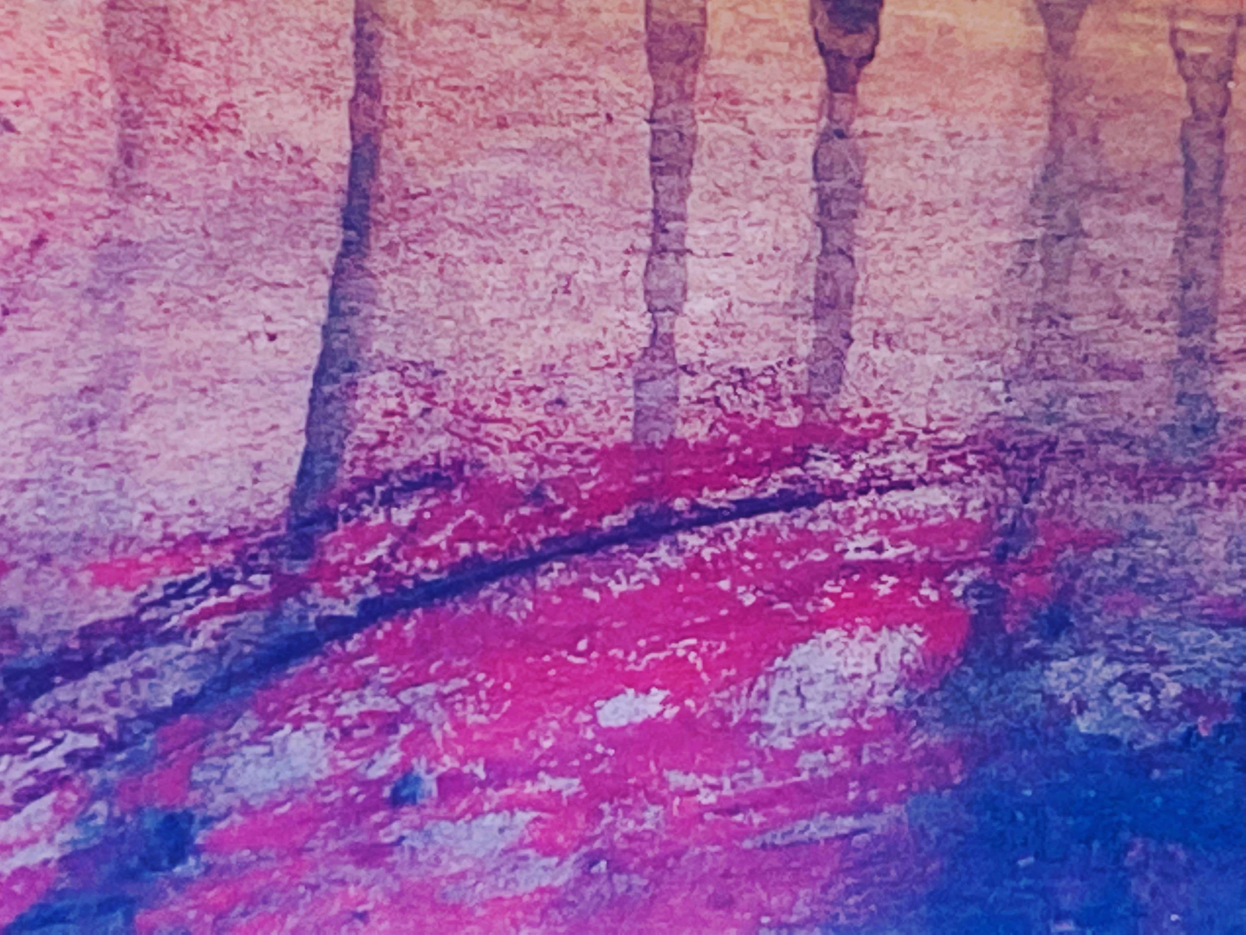 Bark of the Pacific Madrone