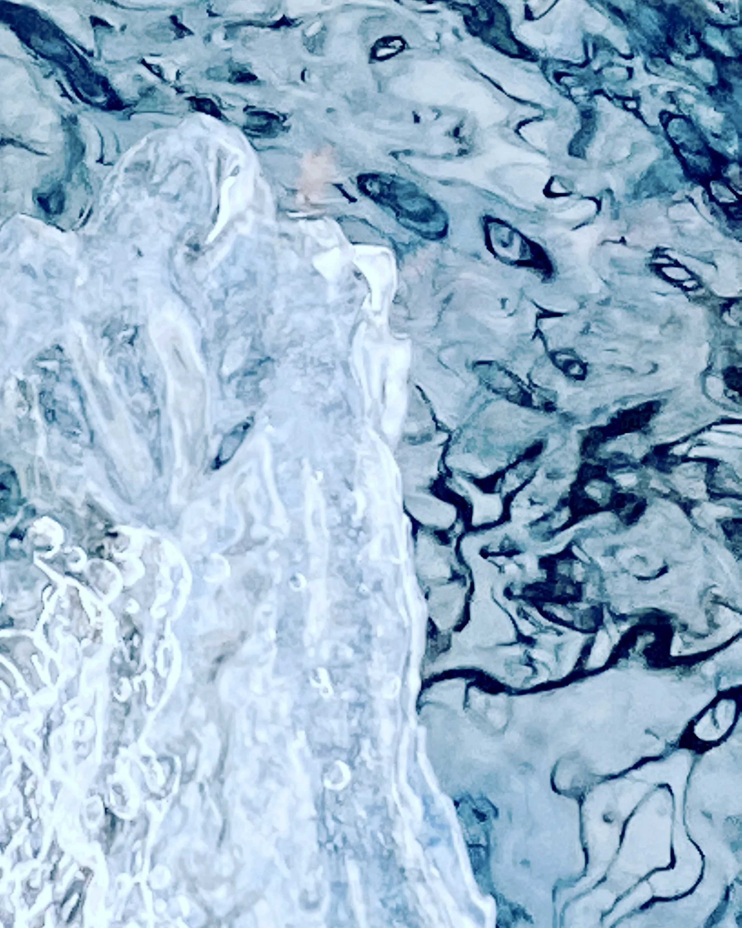 C1048B2F-DB07-4734-908E-BF08656EC01C.jpeg