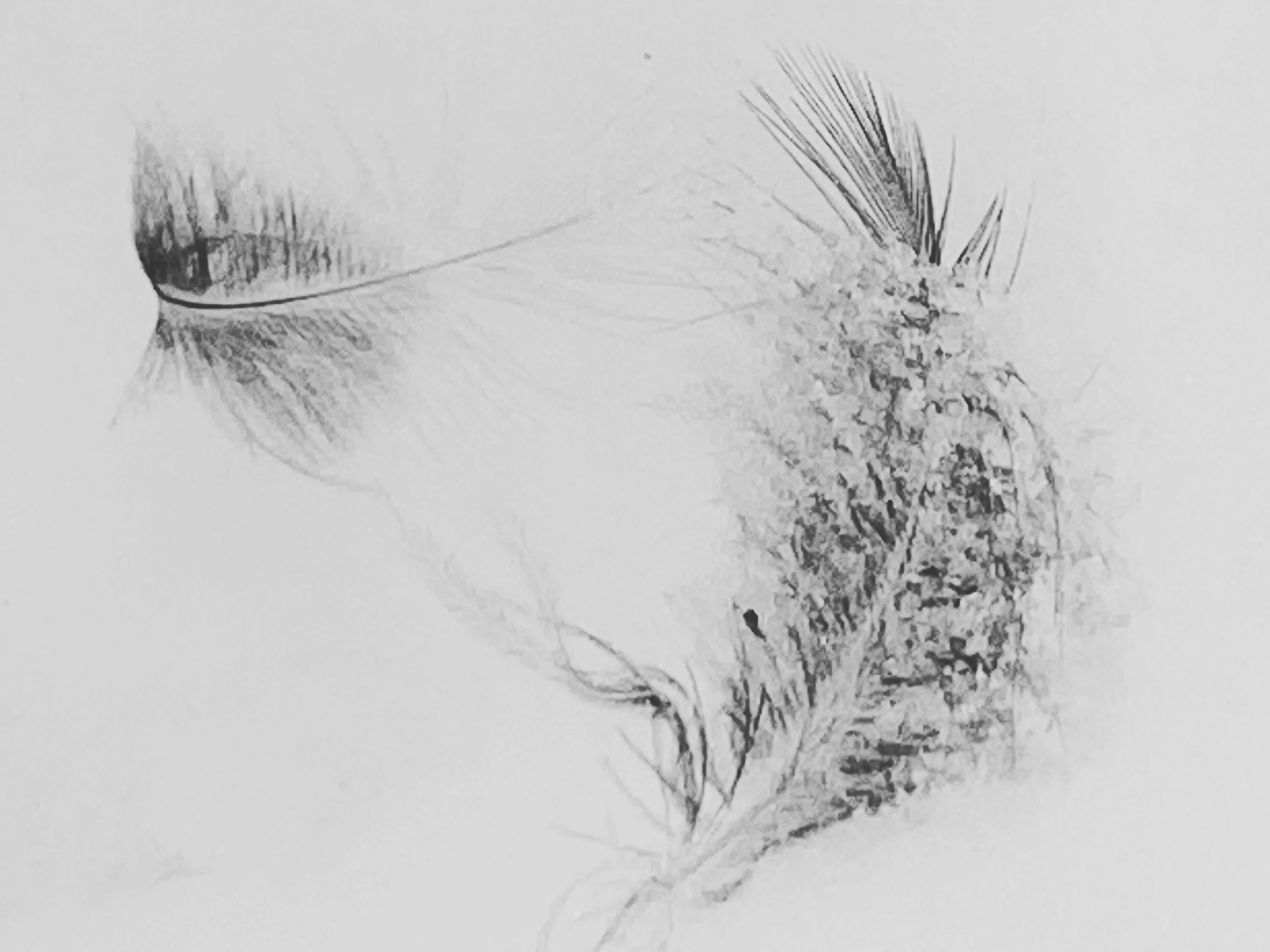 B6E1AC1D-806B-449C-B323-C506AA745F53.jpeg