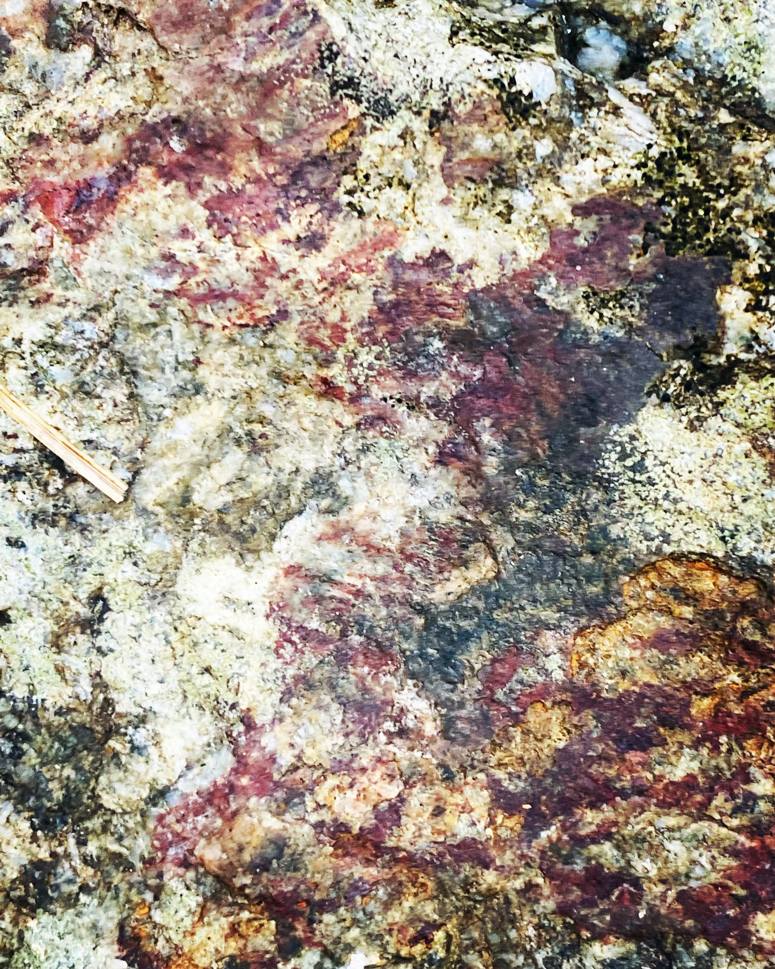 FE55171A-C586-454E-A895-73AD626C3881.jpeg
