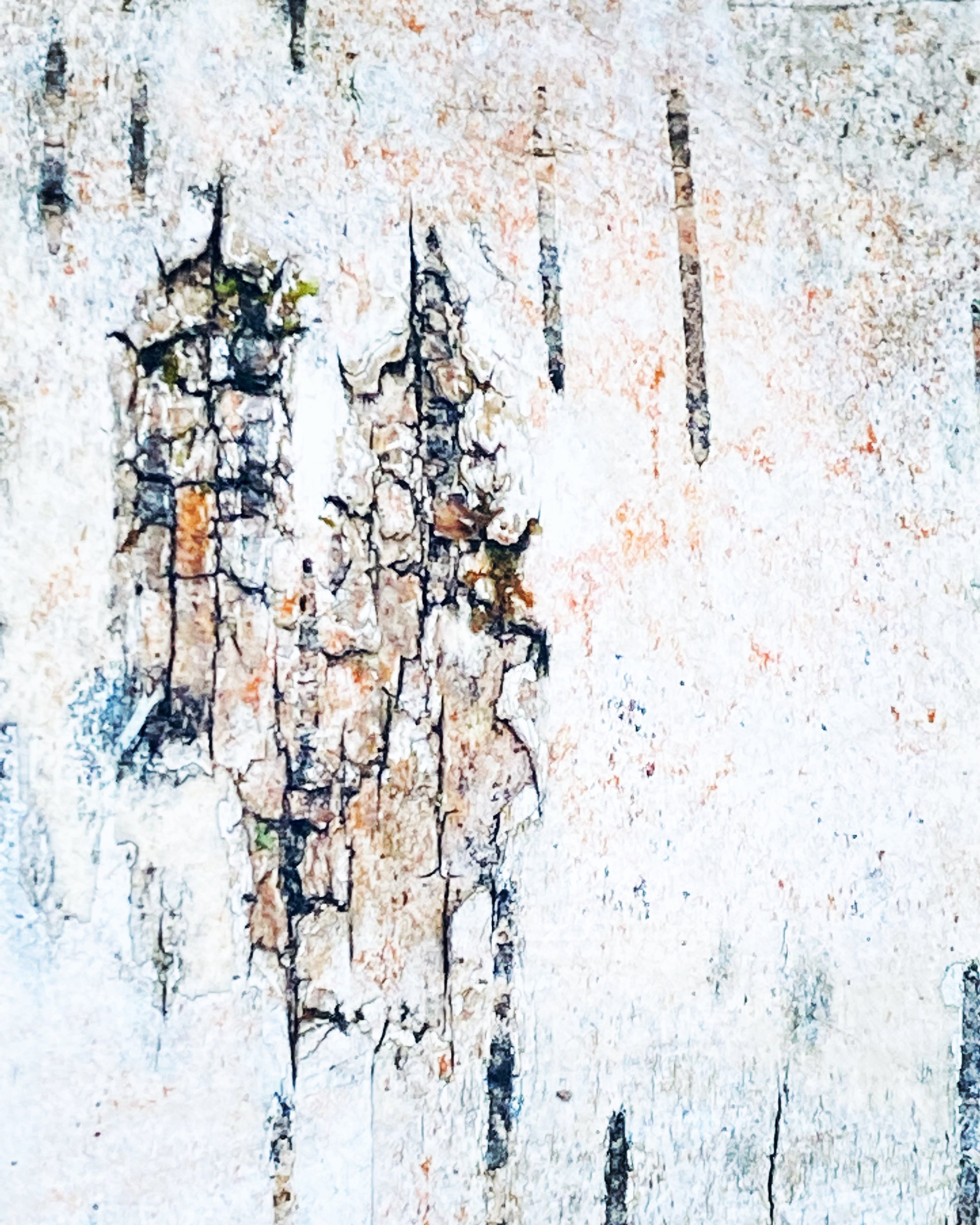 #NewThisDay Writing From My Photo Stream