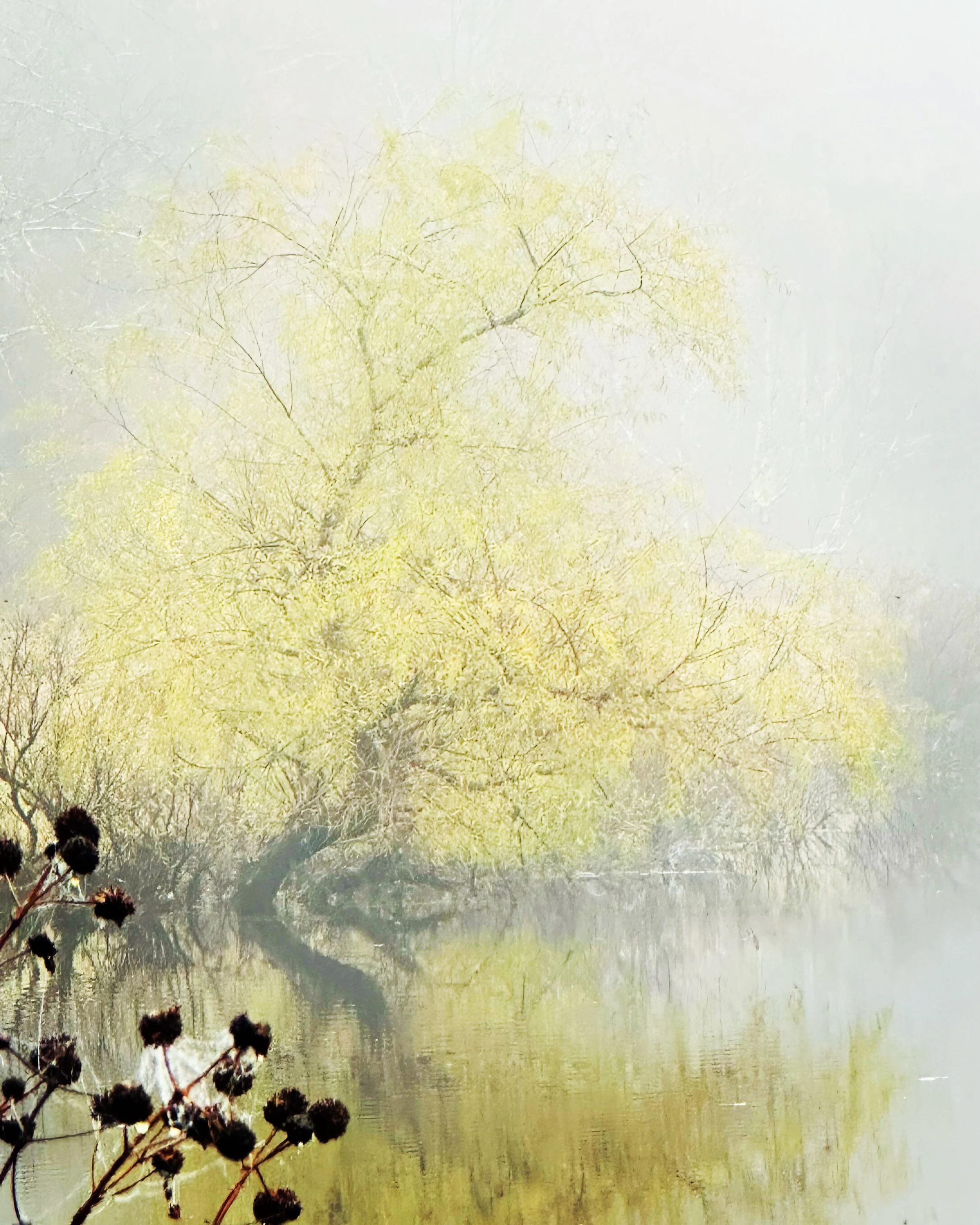 FA017B18-F0C3-44ED-8F6E-6A531D600FEA.JPG