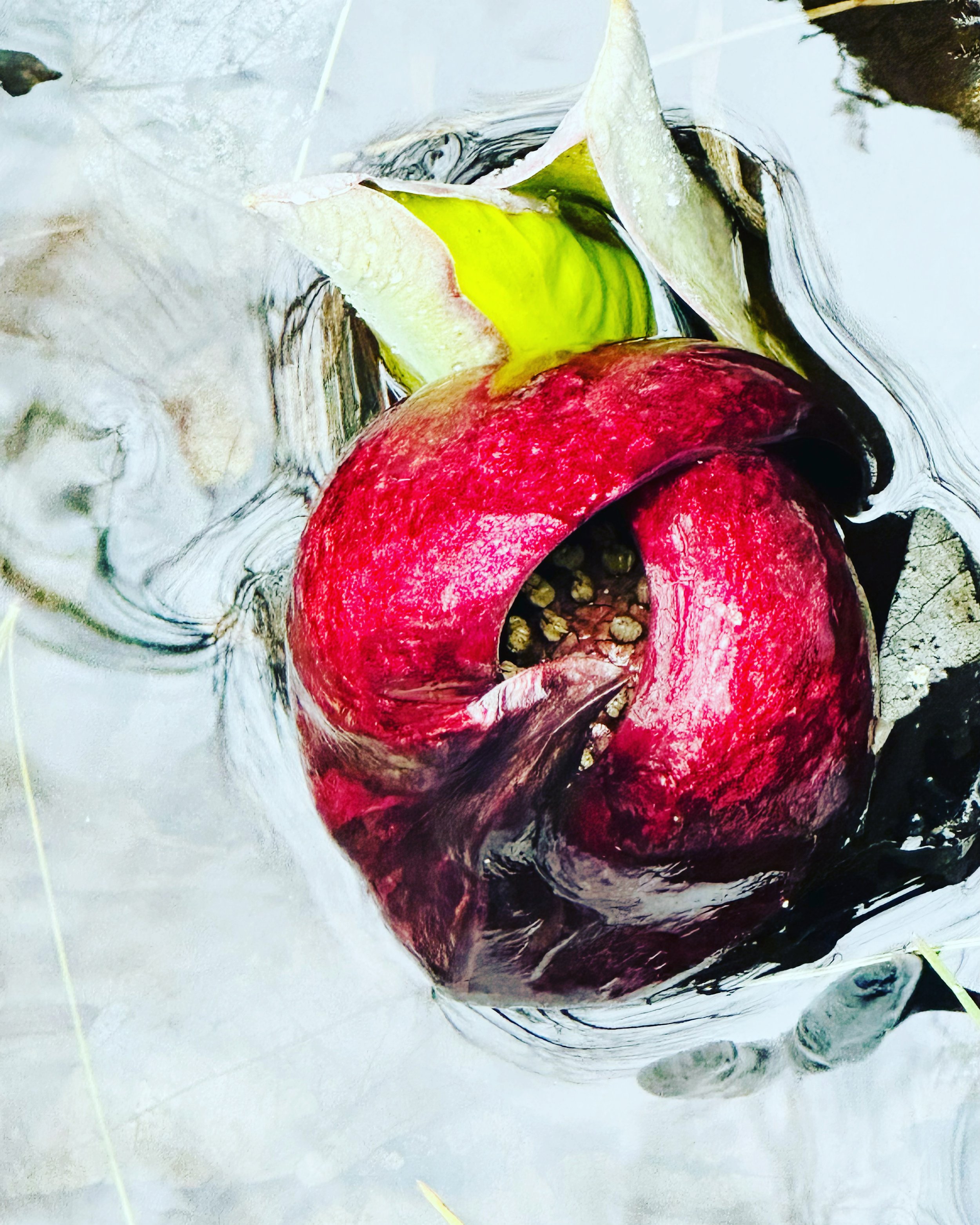 #NewThisDay Writing From My Photo Stream