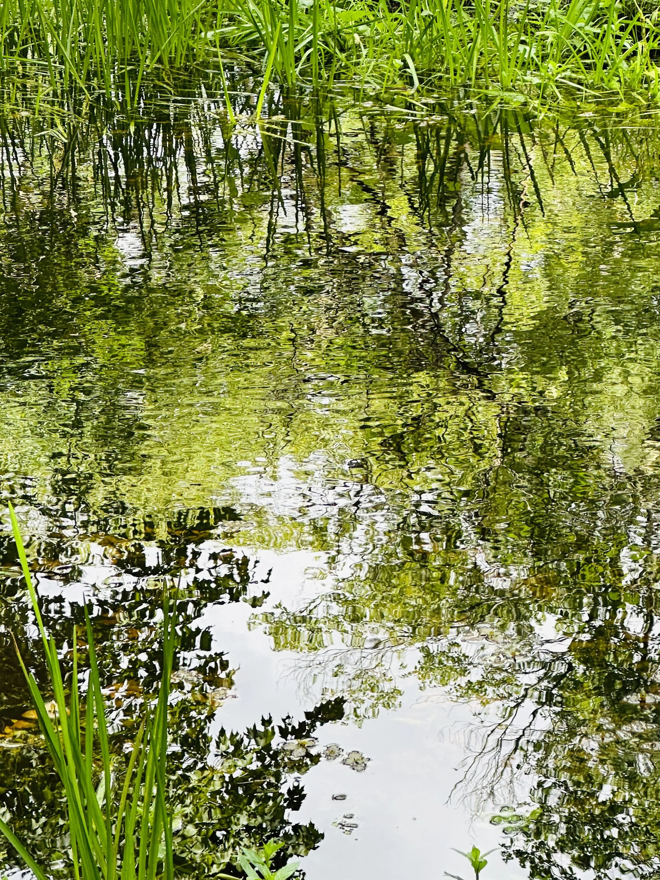 #NewThisDay Writing From My Photo Stream