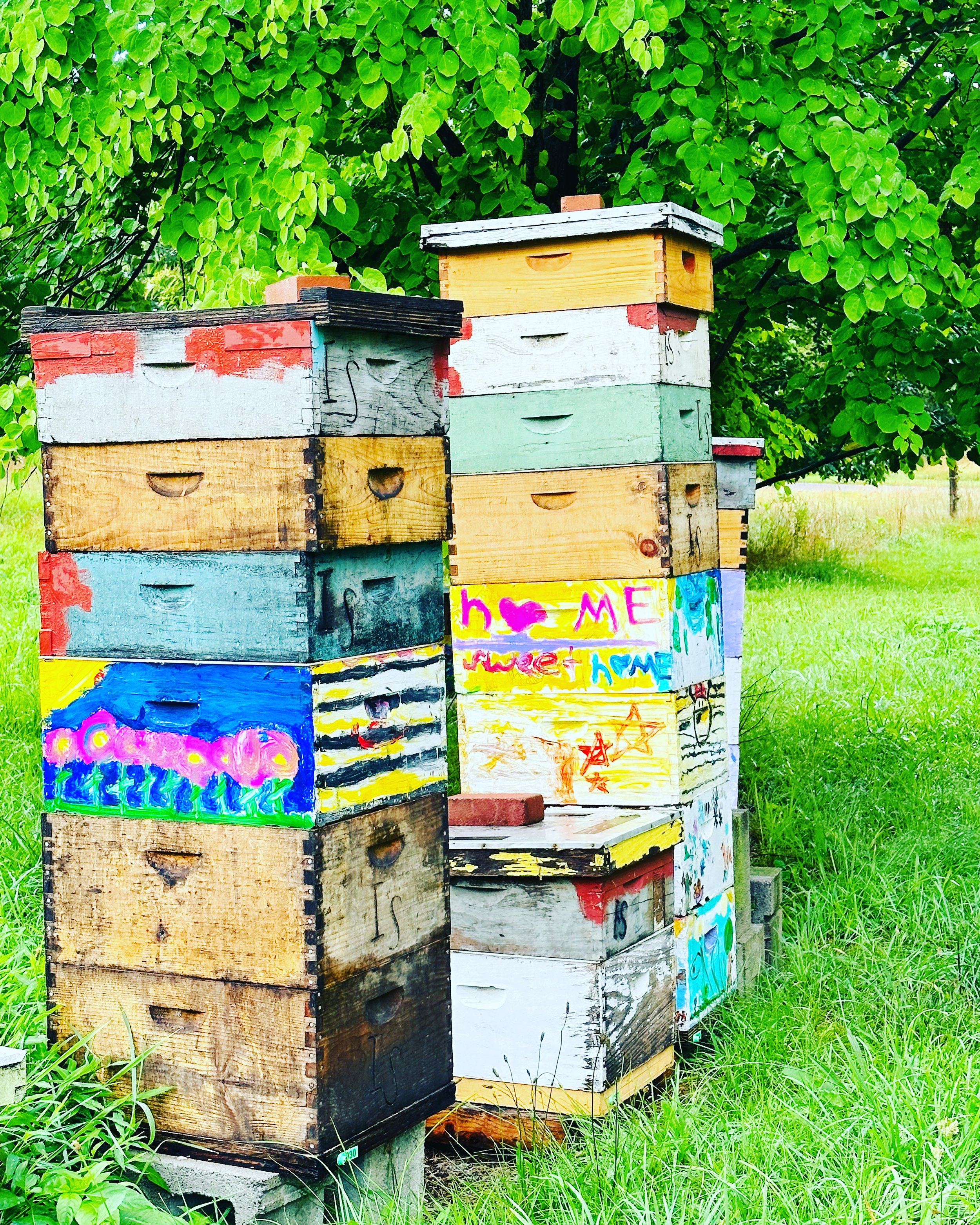 #NewThisDay Writing From My Photo Stream