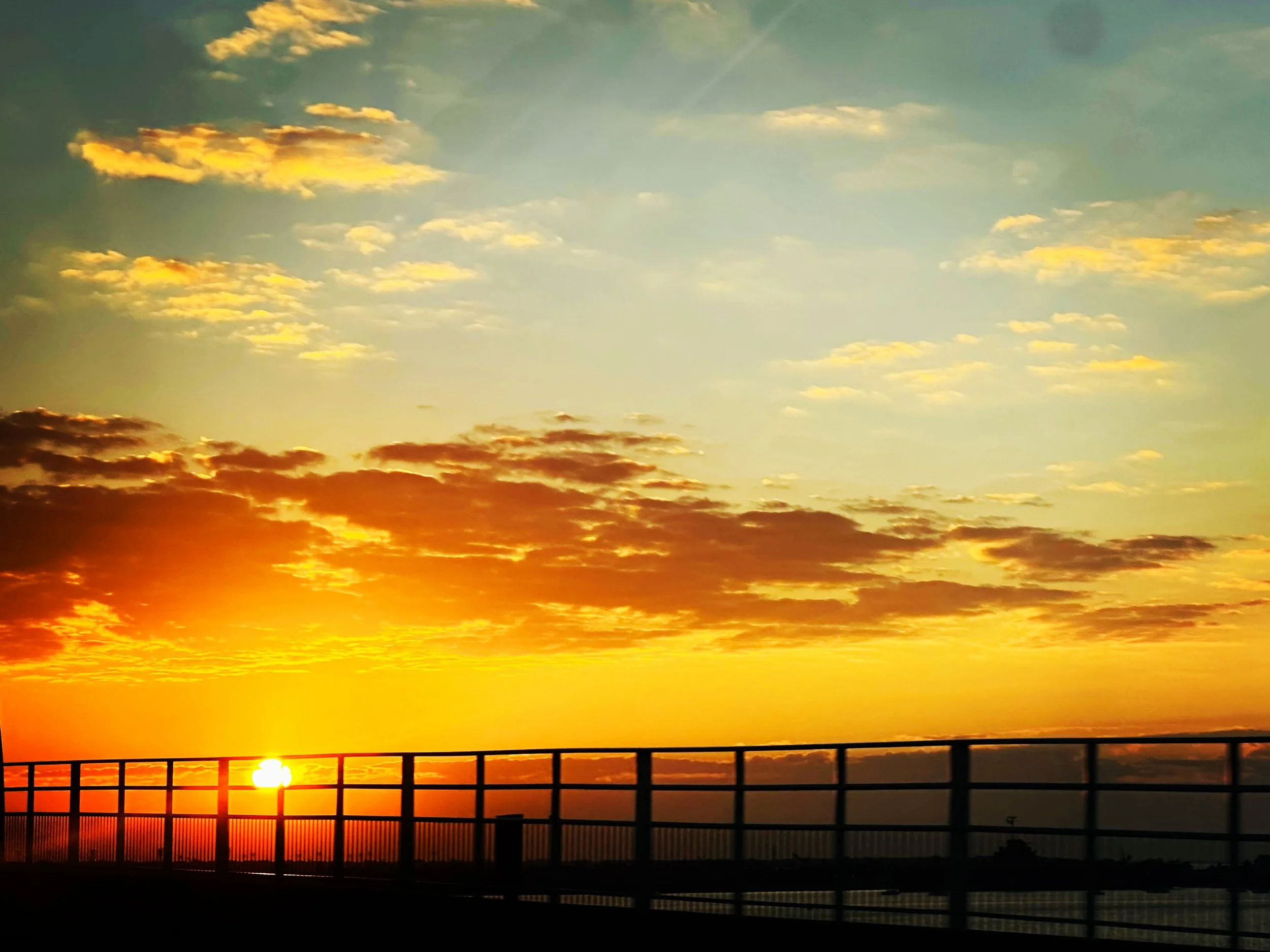 617EDF64-1AE0-4C96-94D5-C88A9B38CCF5.jpg