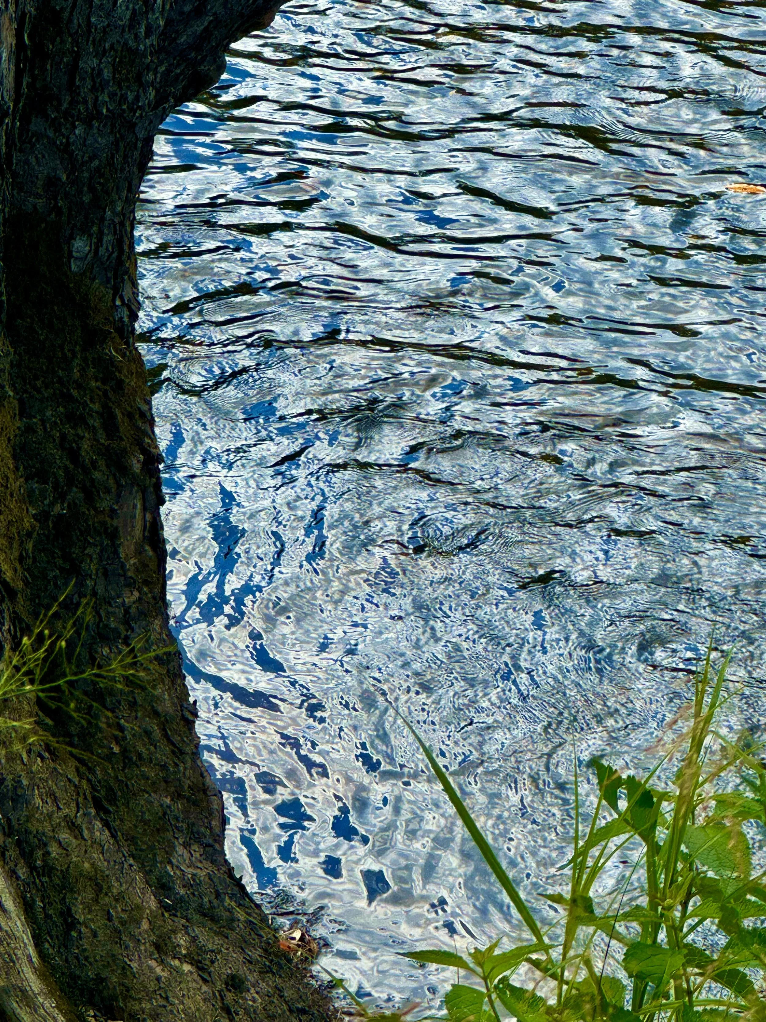 Miller's River's Edge.jpeg