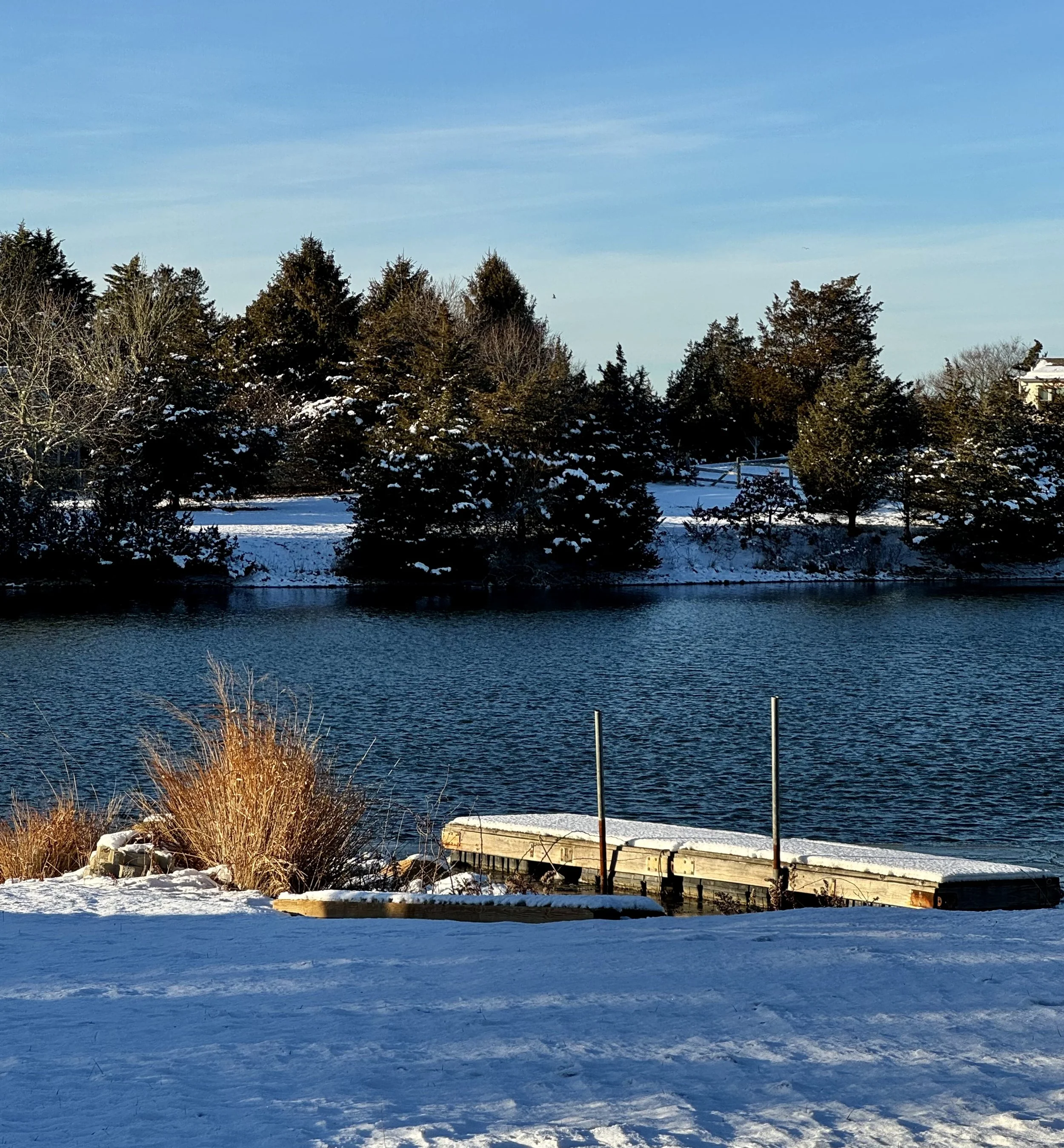 #NewThisDay Writing From My Photo Stream