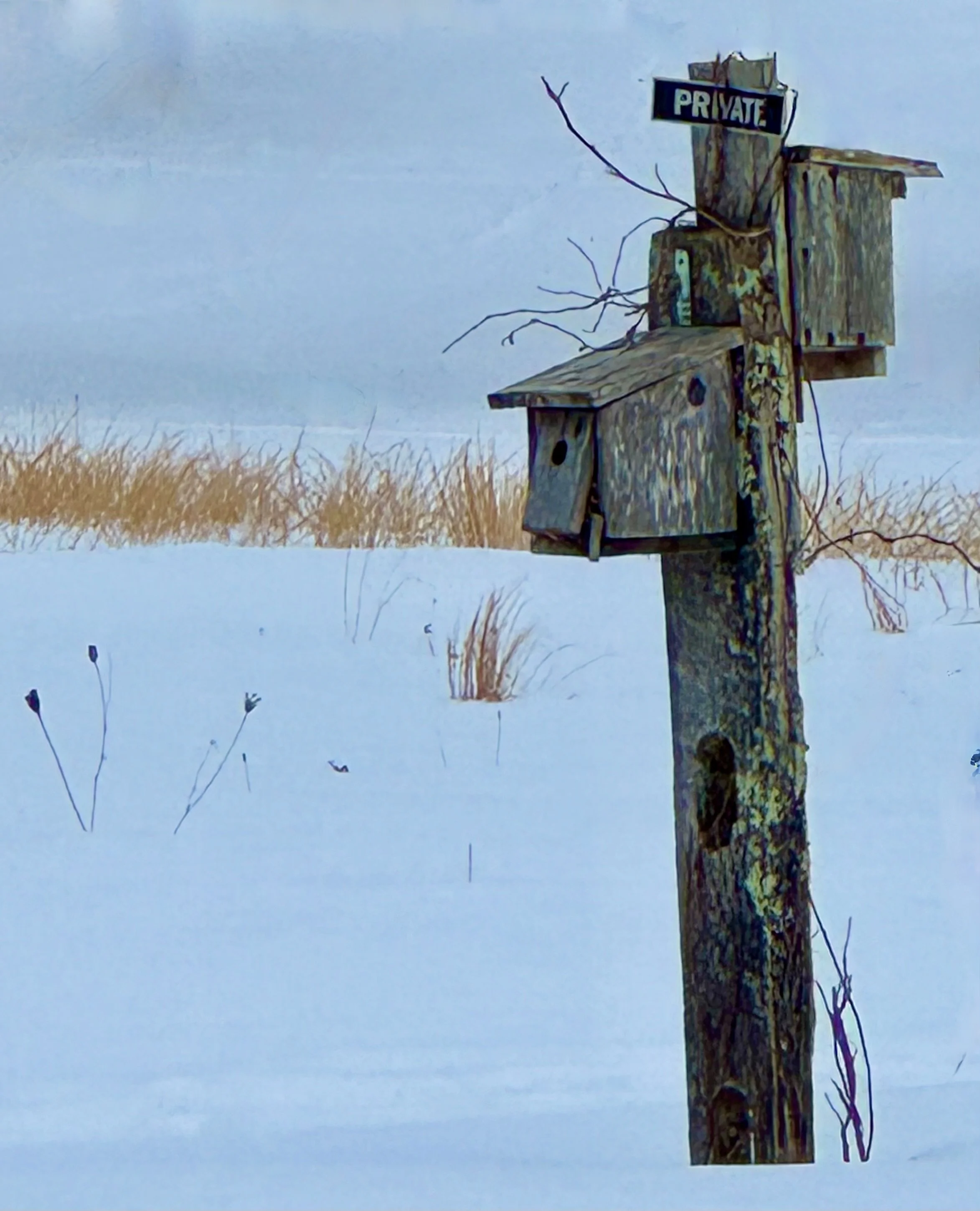 #NewThisDay Writing From My Photo Stream