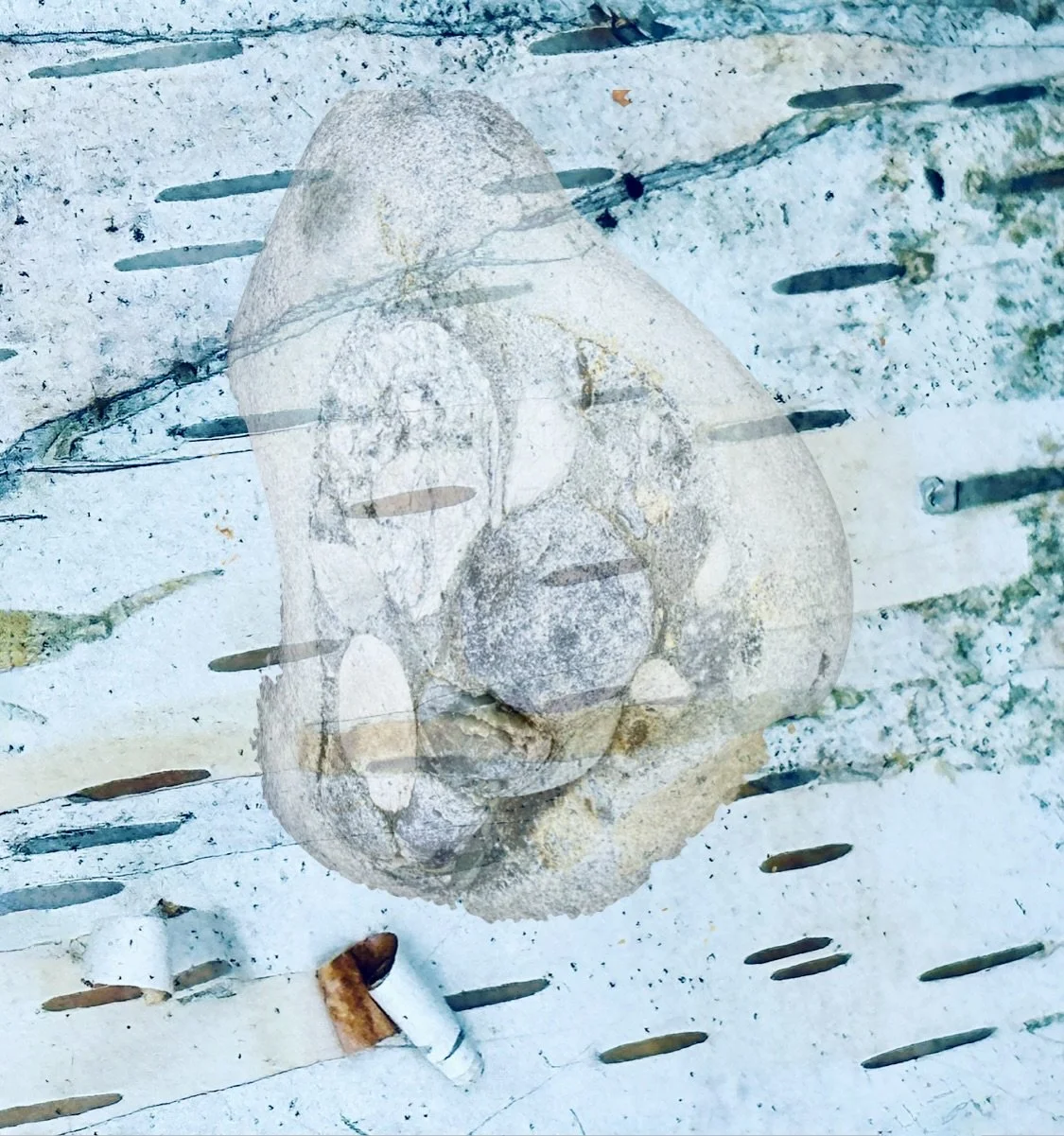 Screenshot 2026-04-03 at 8.38.48 PM.jpeg