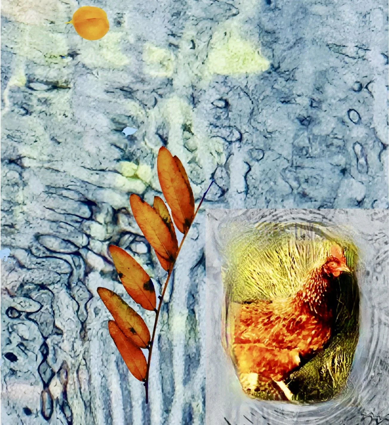 Screenshot 2026-04-01 at 8.14.57 PM.jpeg