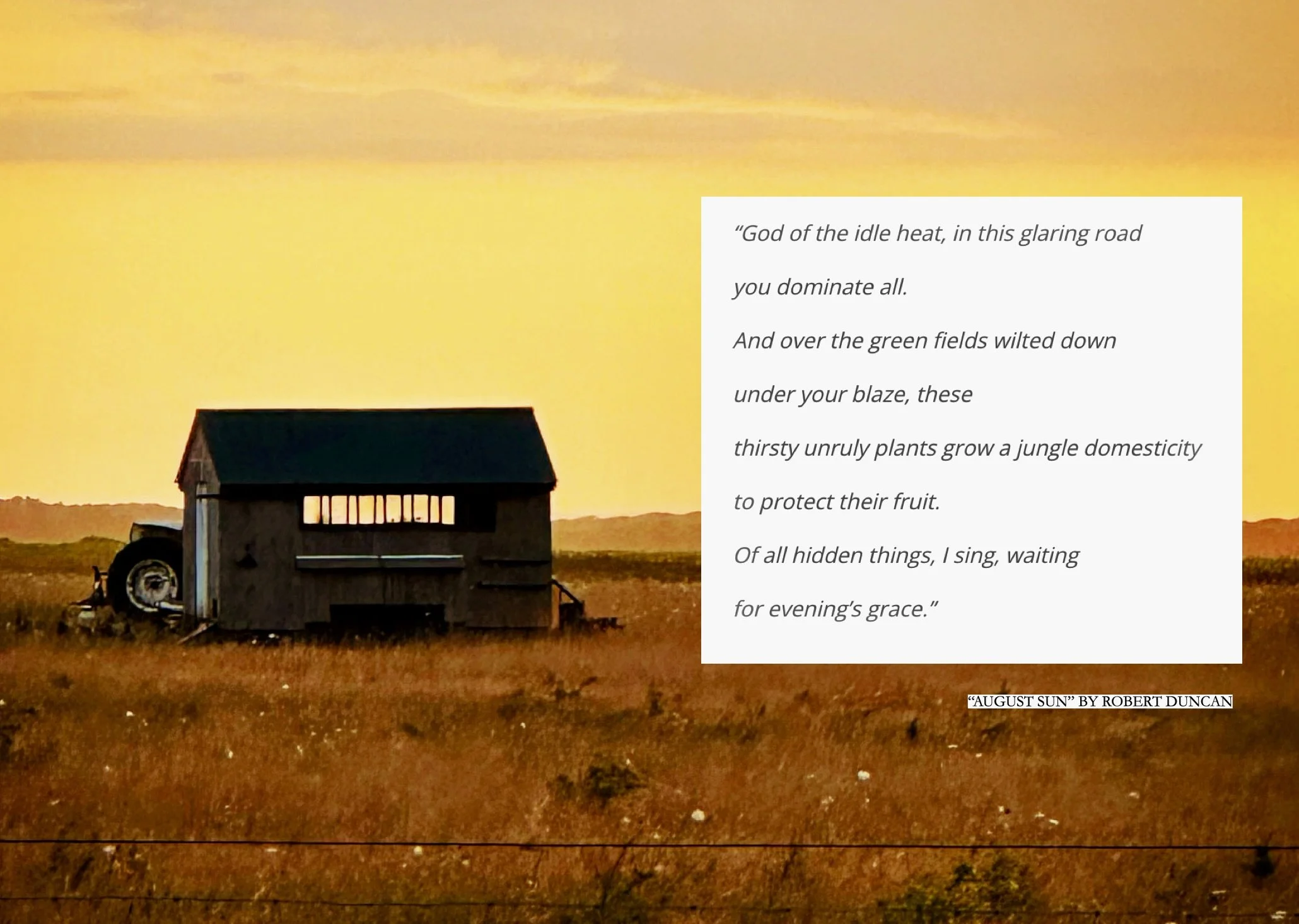 Screenshot 2026-08-29 at 8.33.53 PM.jpeg