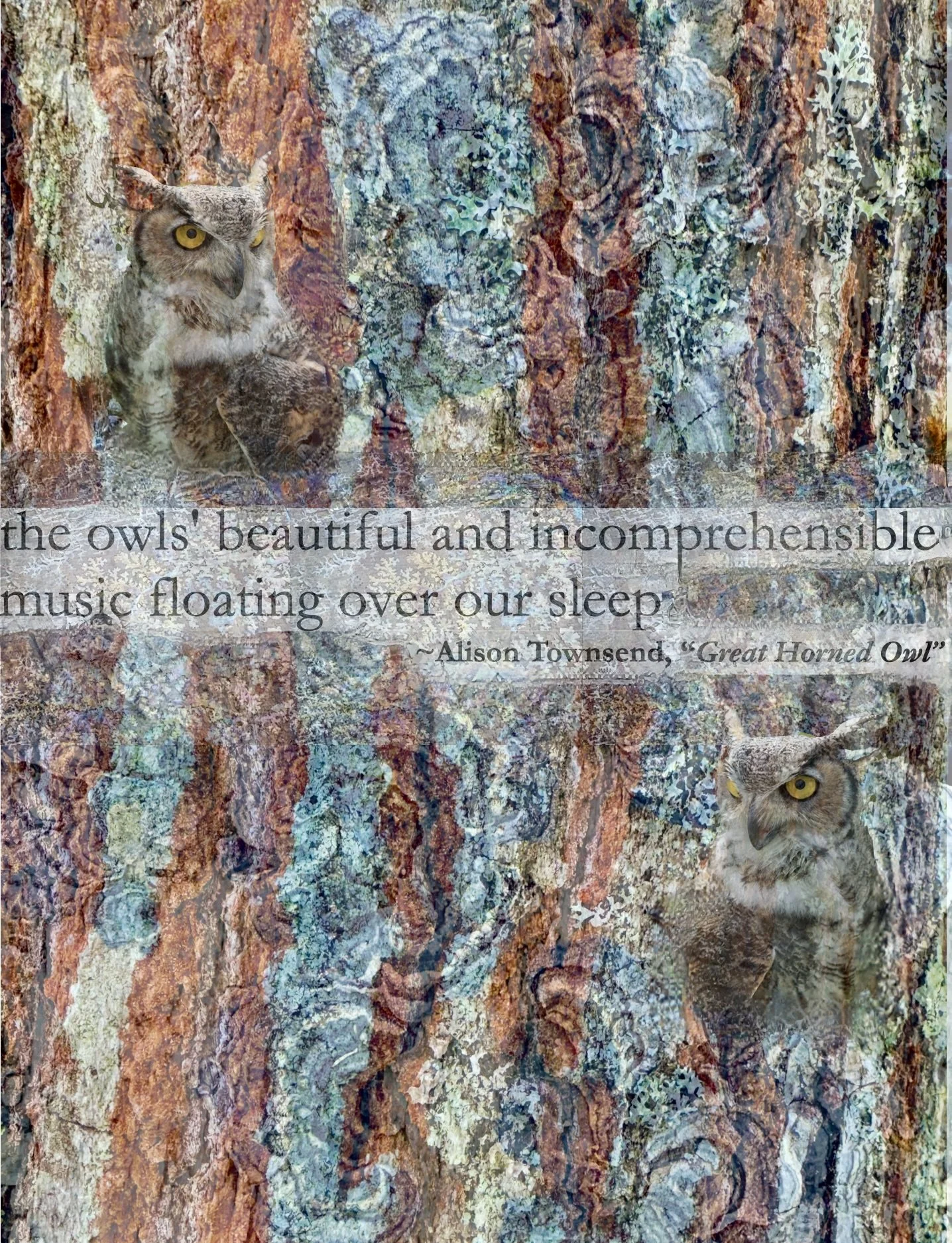 Screenshot 2026-01-07 at 7.40.19 PM.jpeg