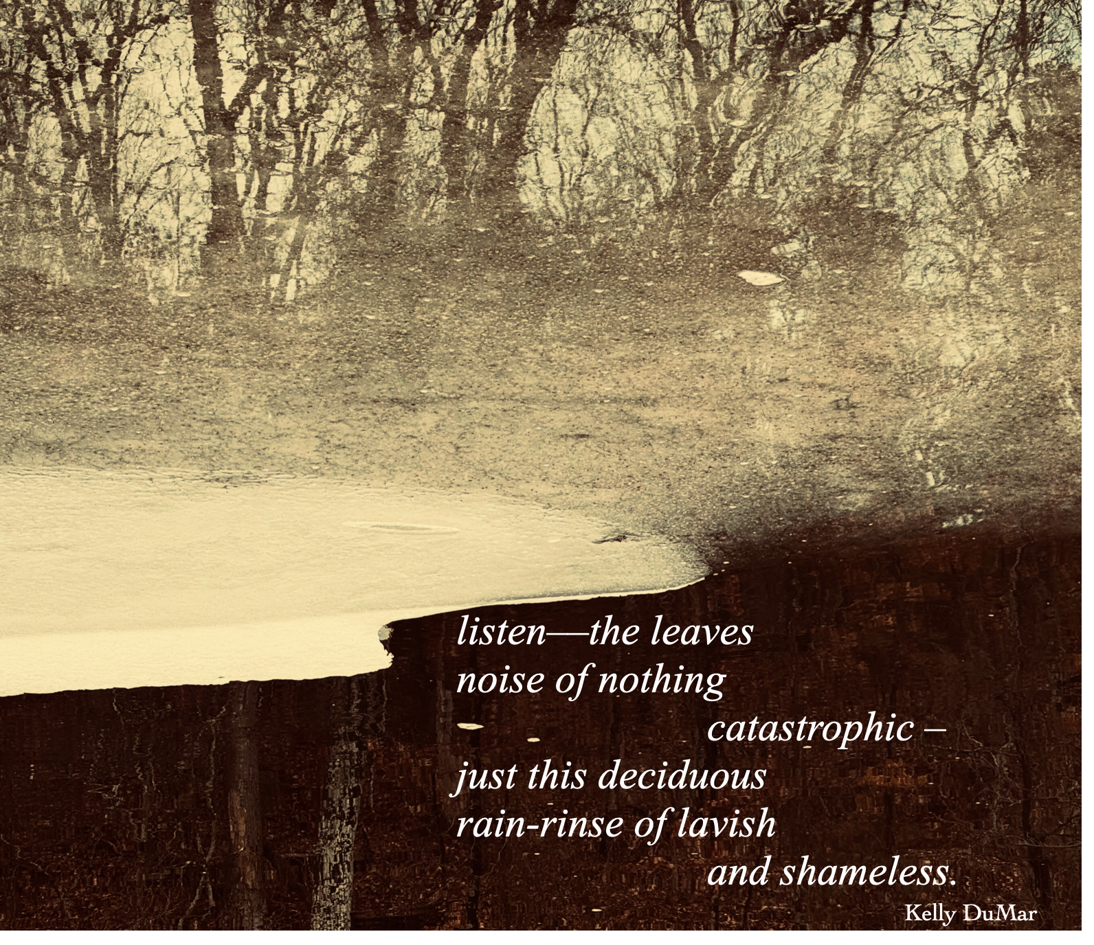 Screenshot 2026-01-22 at 9.30.31 PM.png