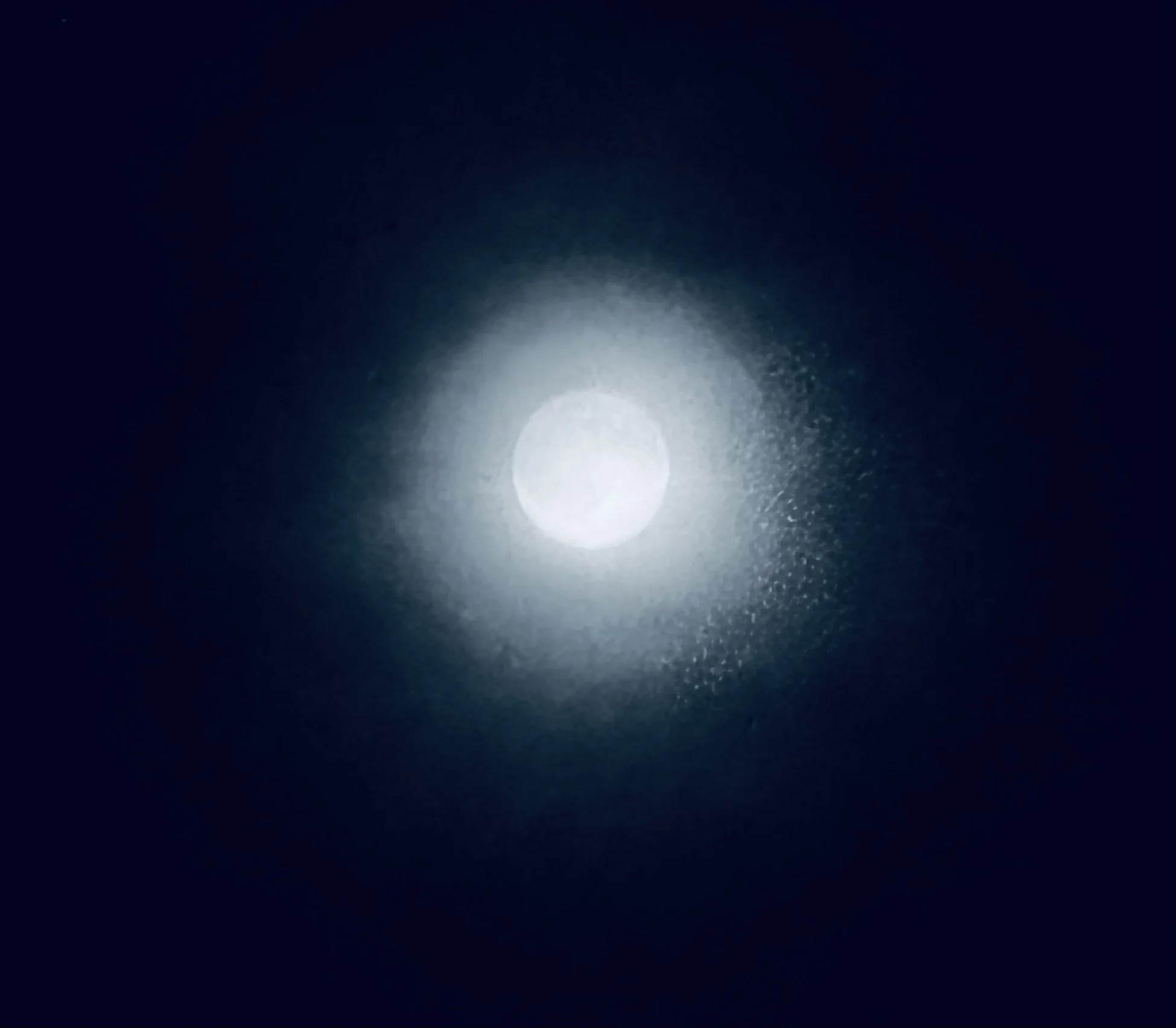 IMG_4957.jpeg