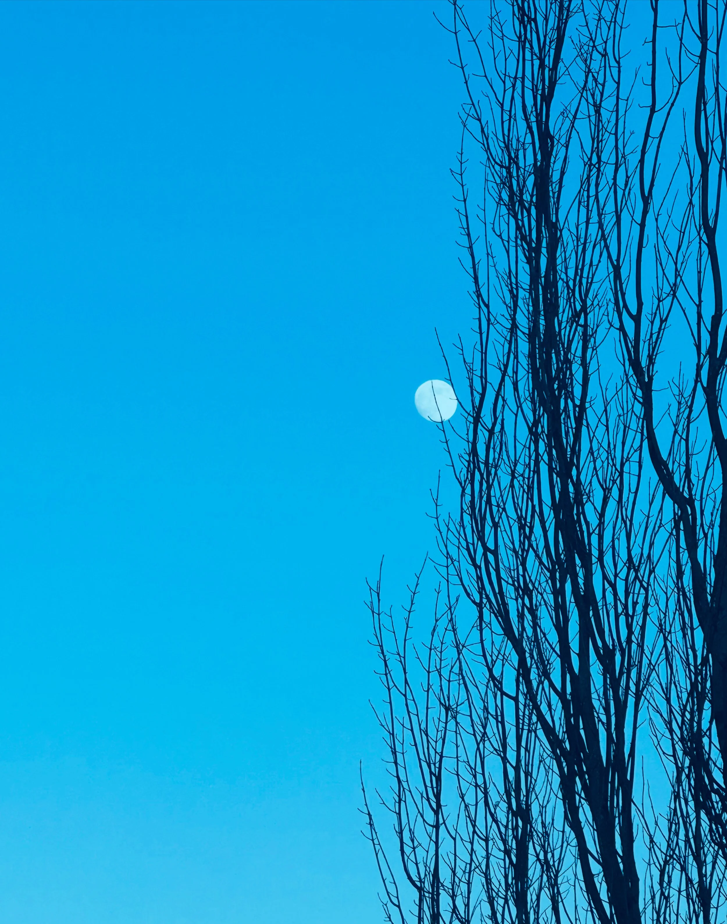 5FE3EA0F-2B45-4FB0-B77F-913F19B1A340 3 2.JPG