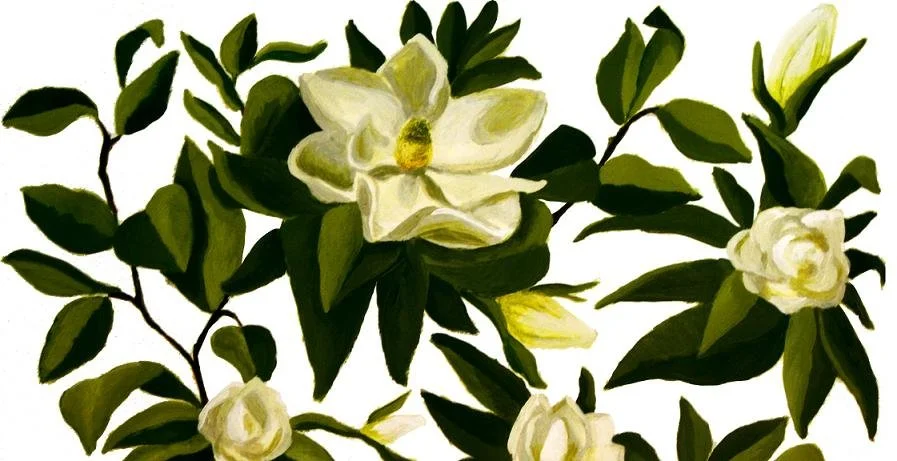 small magnolia.jpeg