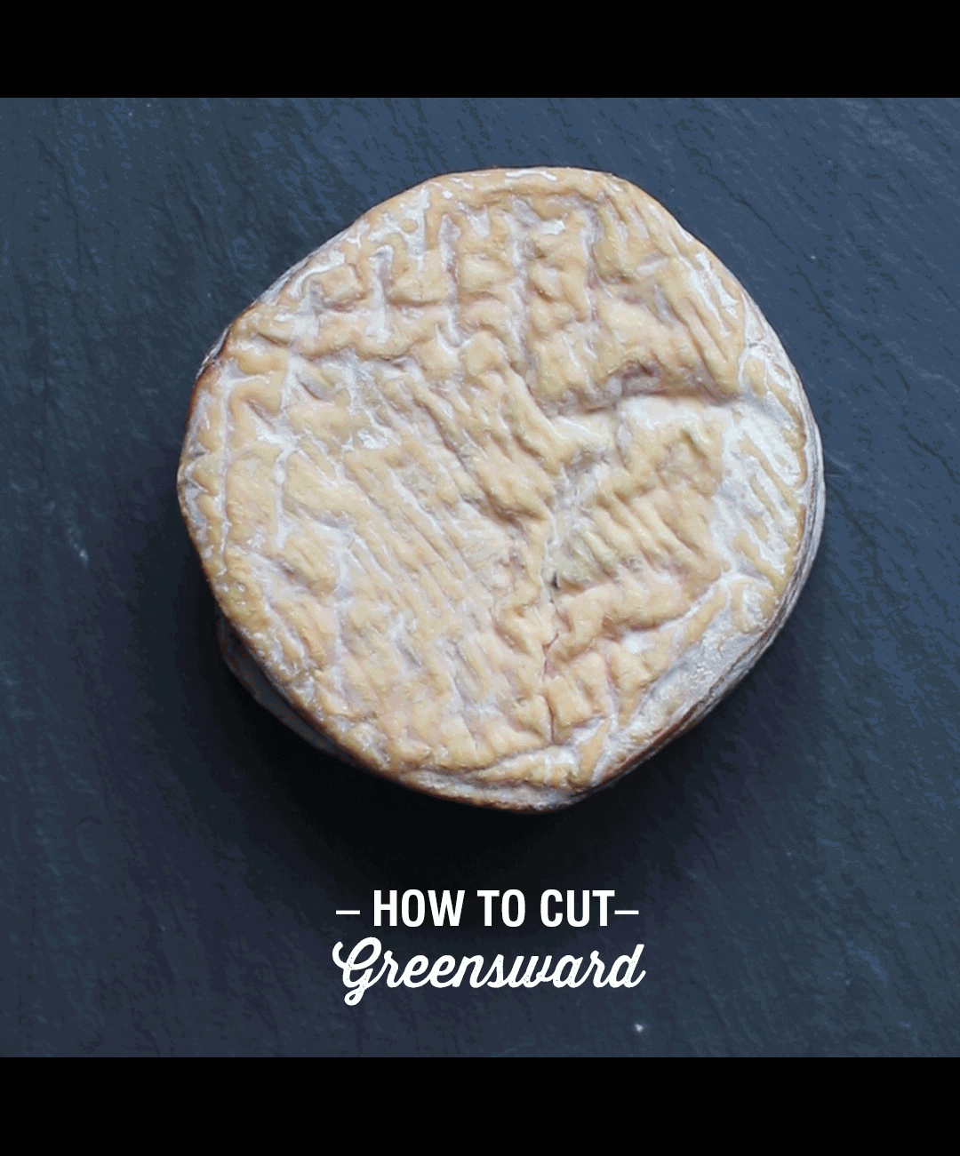 Murray's Social Media Graphic