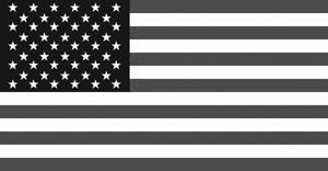 flag komp.png