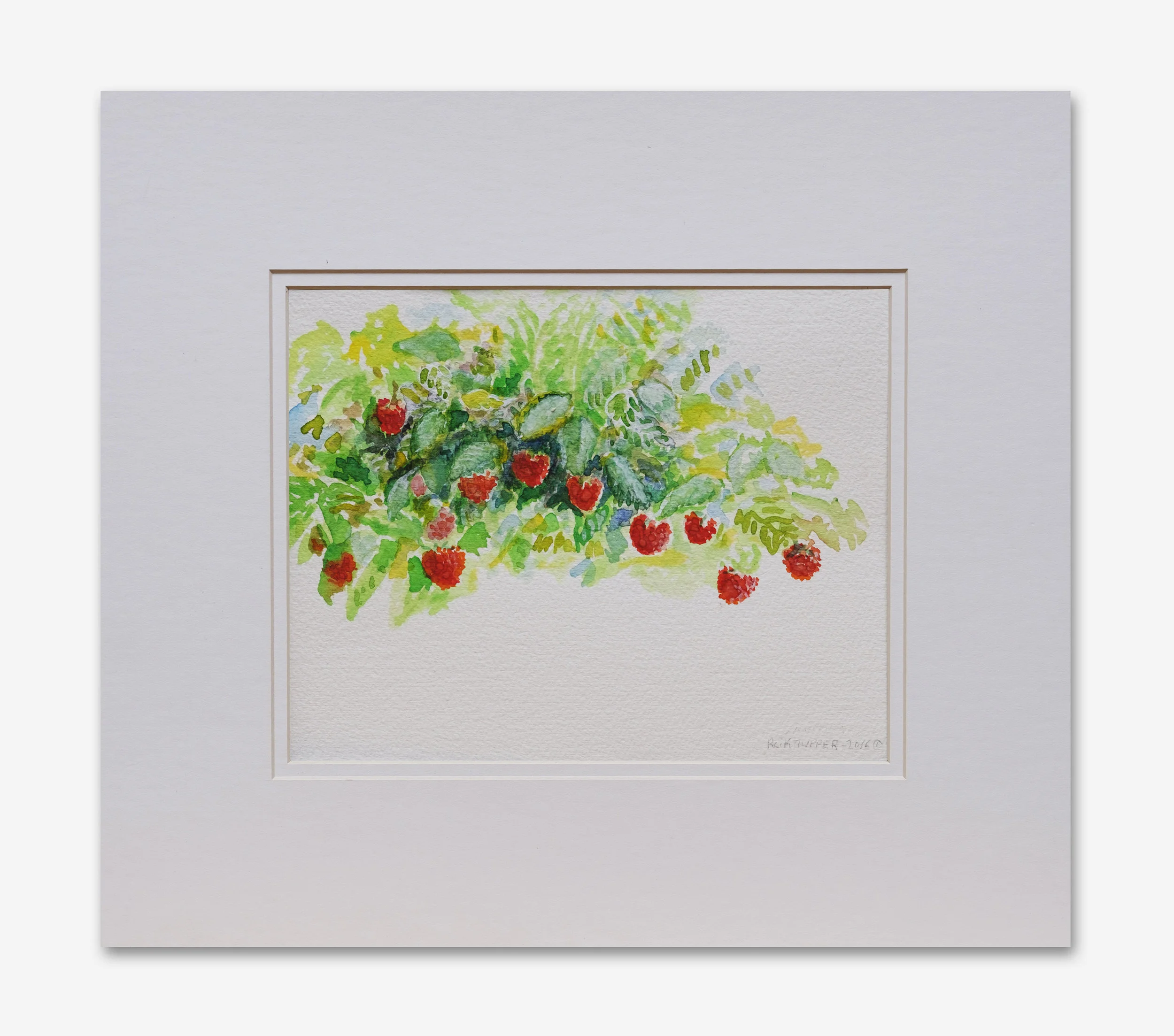 Rasberries