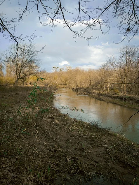 Cascade , Andrew Turner, 2019 “The work is in response to the natural landscape that can be found in Macon, GA. In particular the landscape that encompasses the Indian mound site. I particularly reacted to this space due to the history of the mounds and the connection it has with the local region. Photographically I wanted the image to represent the beauty of the unmanufactured landscape with its relationship with the region today.” —A.T.