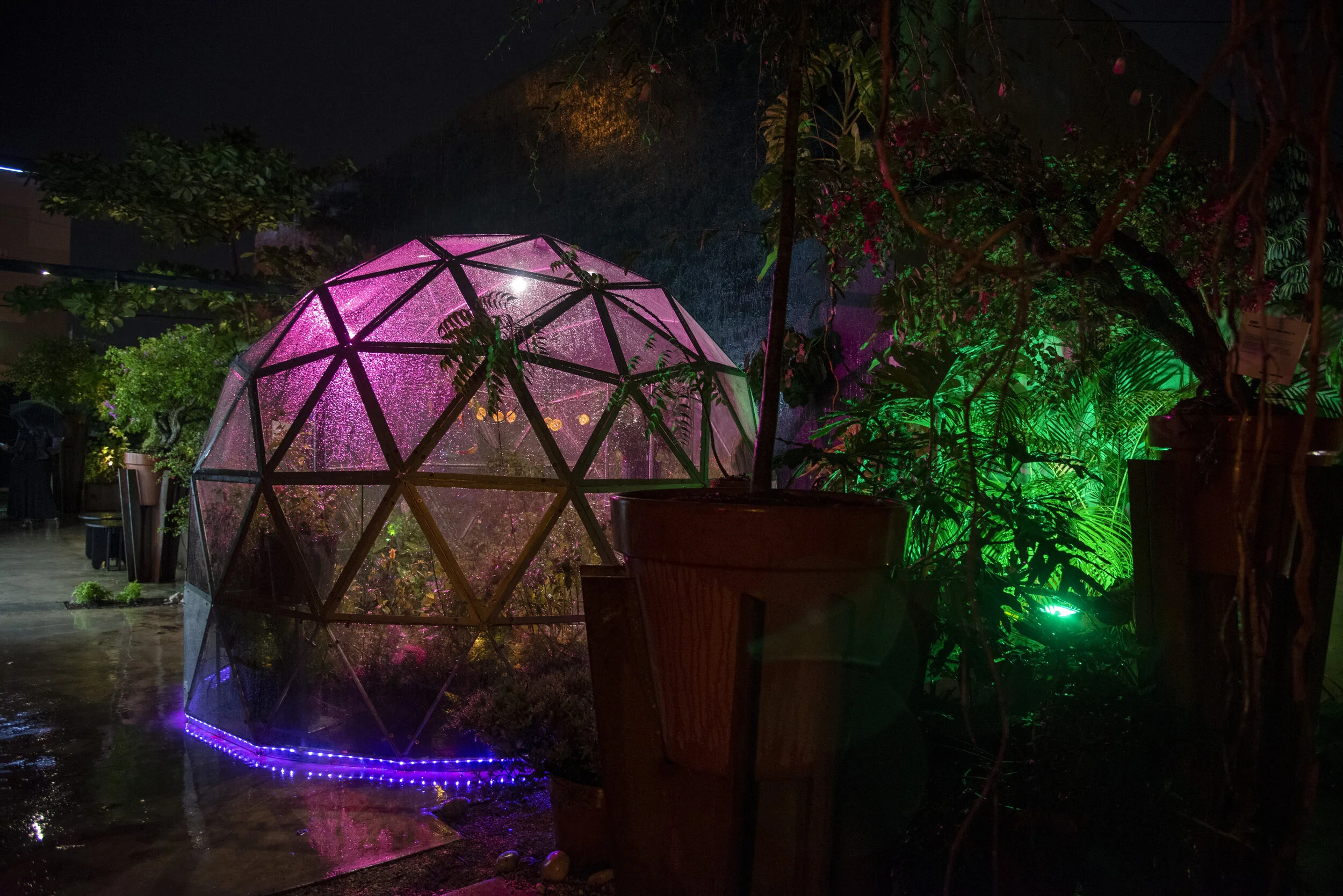 Creative Ground_1_Aleksandra Bugrii (3).jpg