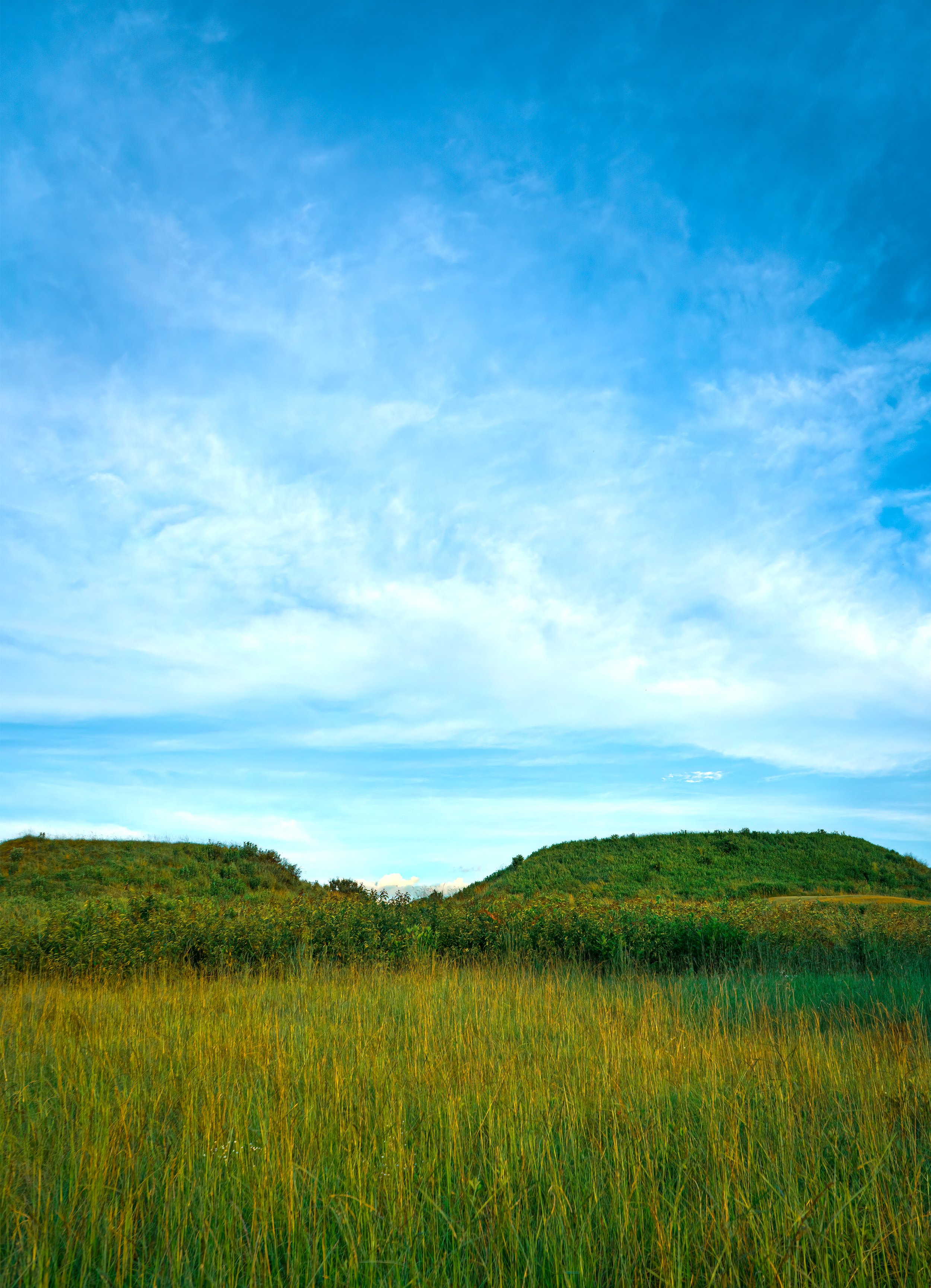 tomfields-mounds234-preview.jpg
