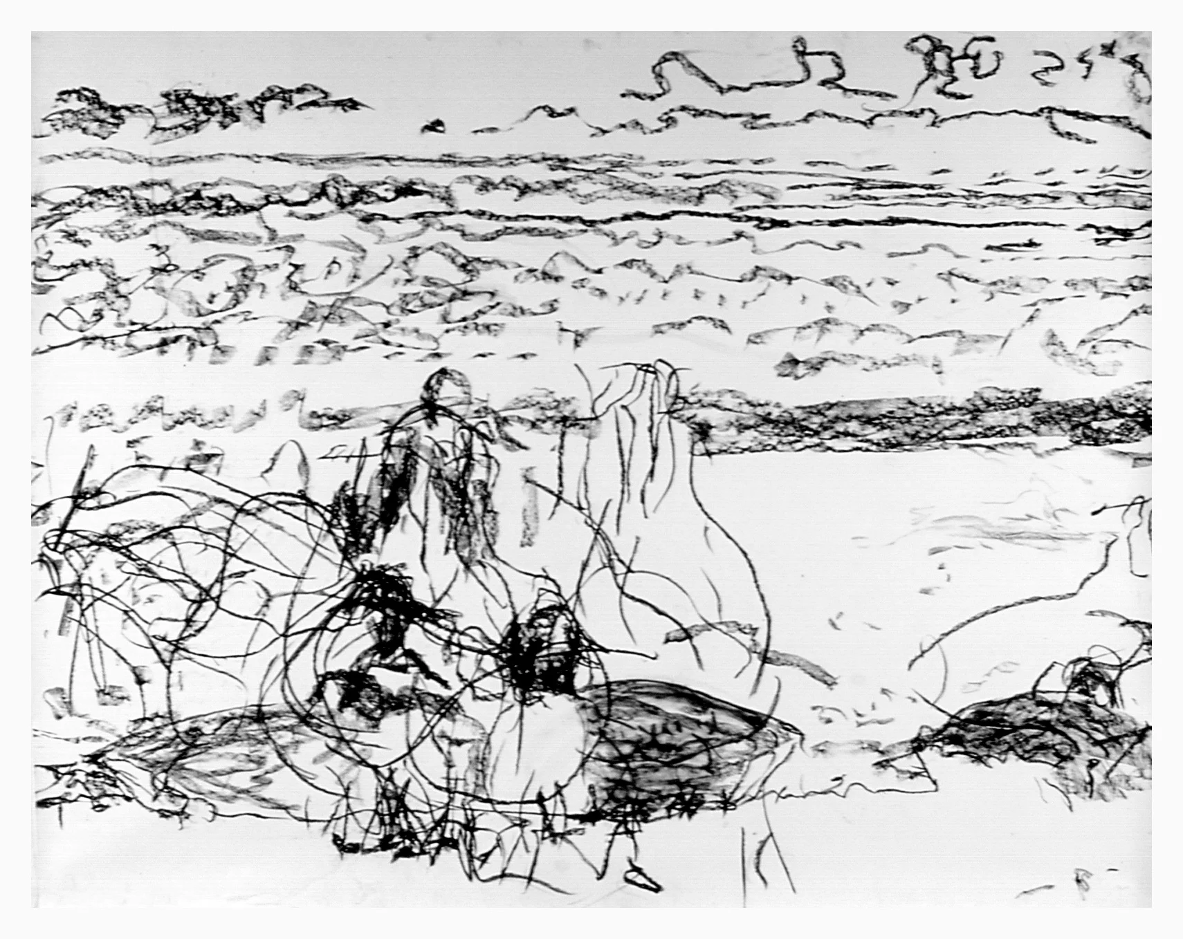 "Drawing" from Video from Drawing from "Nature"