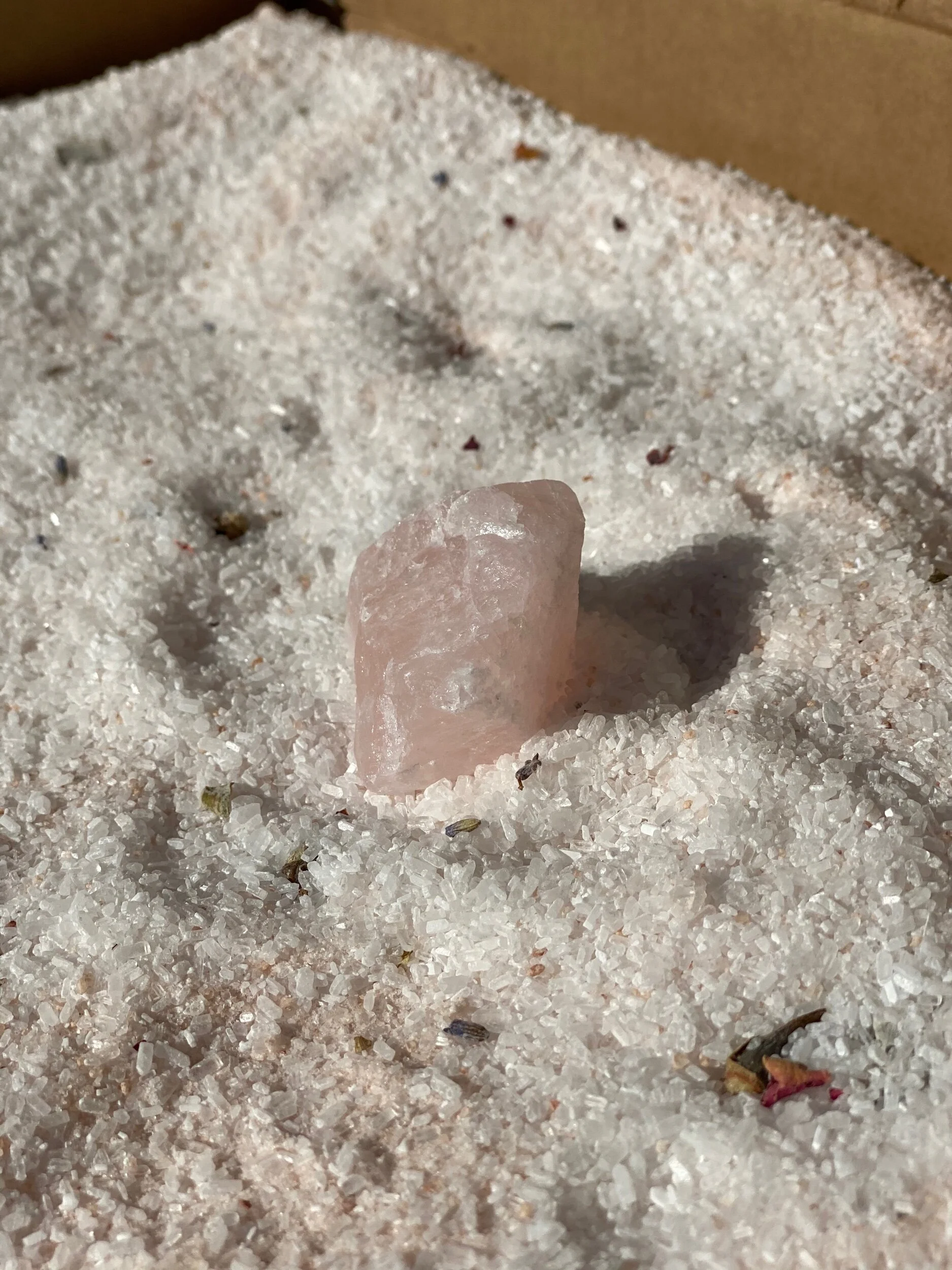 2E41E907-4B2C-45CF-A310-15EDBDF5F167