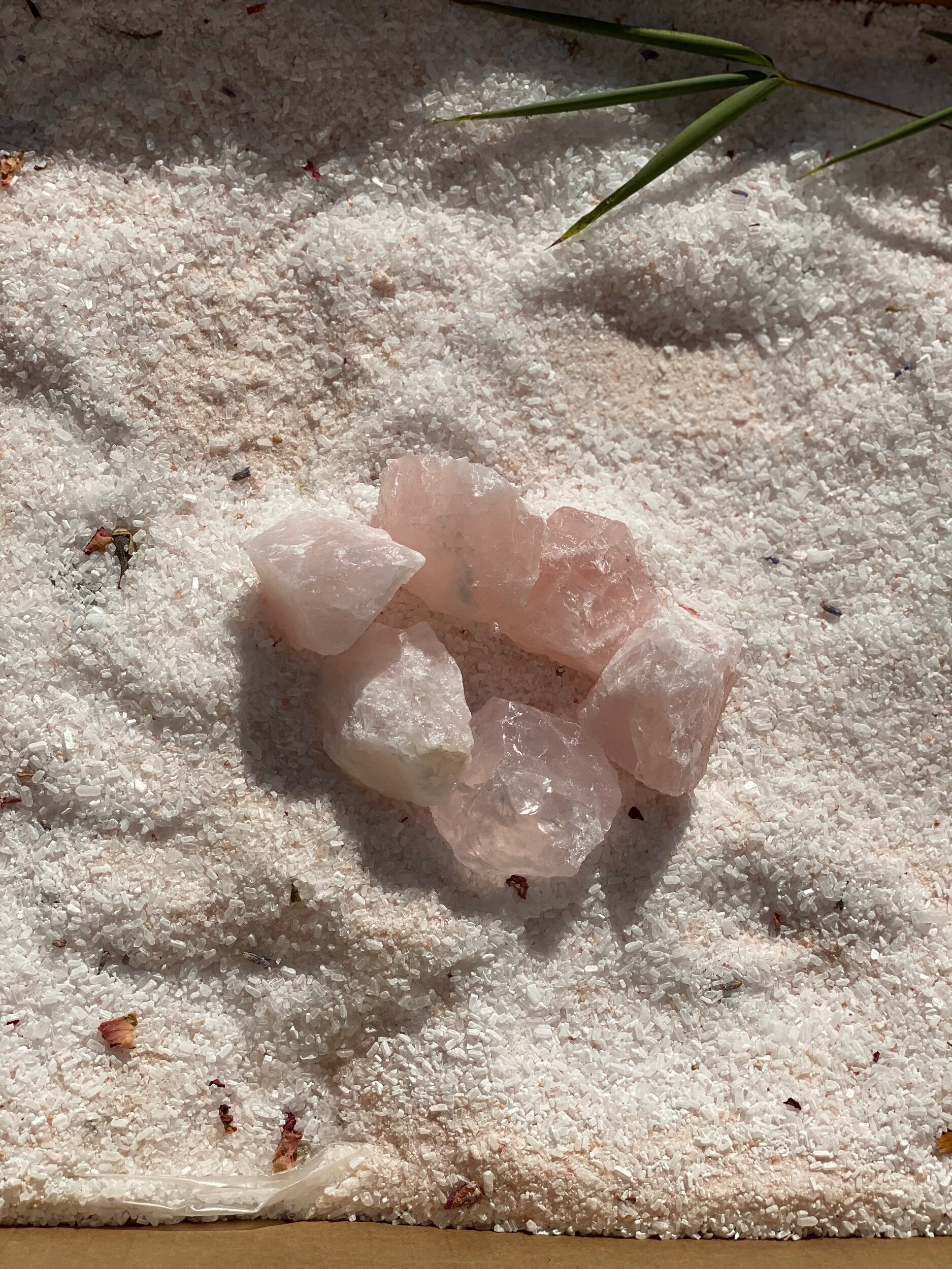 5E7FBAB2-1069-465F-AD11-257102043B57